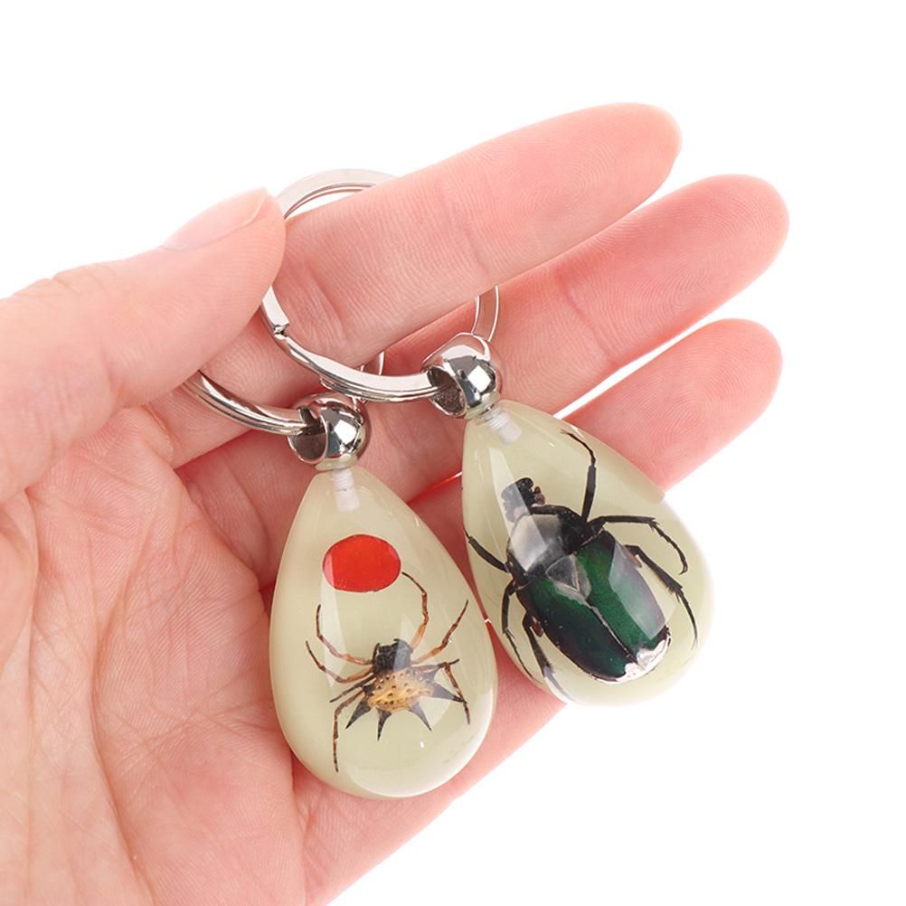 Glowing Insect Keychain Animal Specimens Keychain Resin Collectible Gift for Friends and Family - Image 4