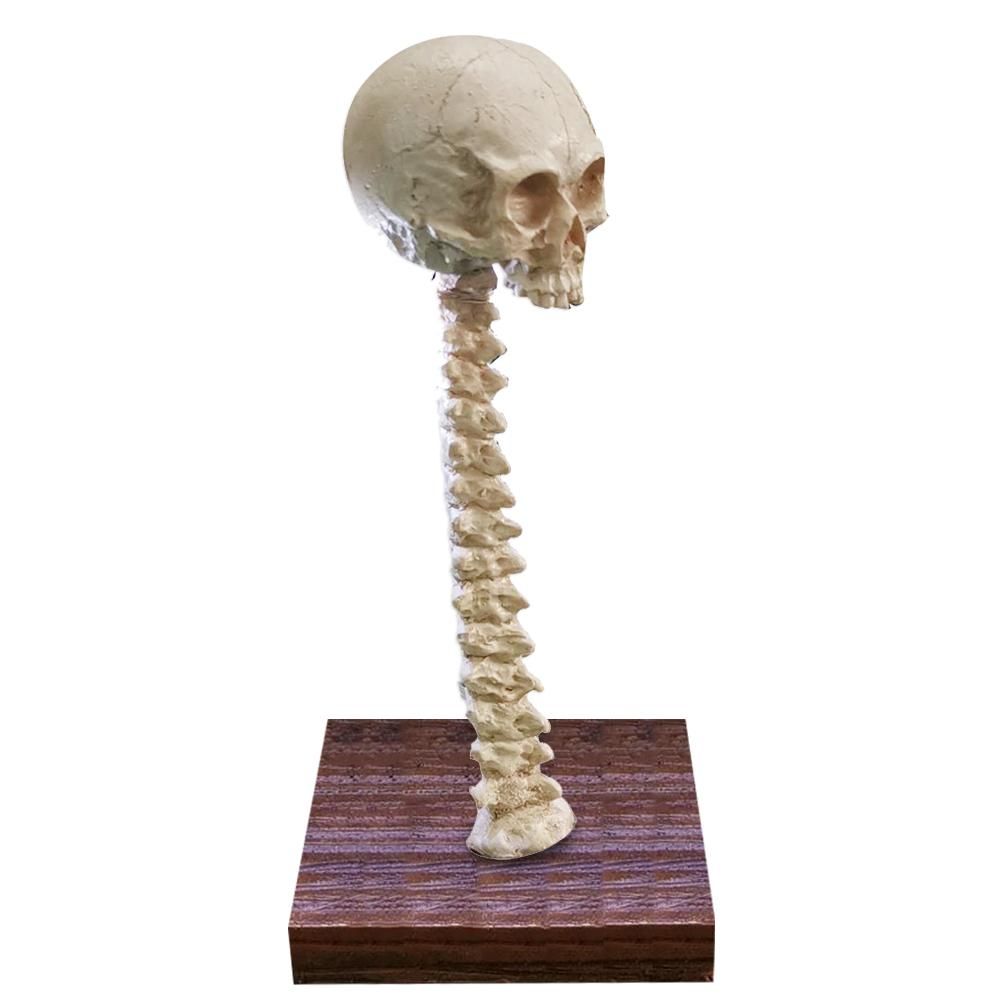 Skeleton Lamp Halloween 3D LED Skeleton Lamp Haunted House Ornament Prop Gifts for Birthday - Image 1