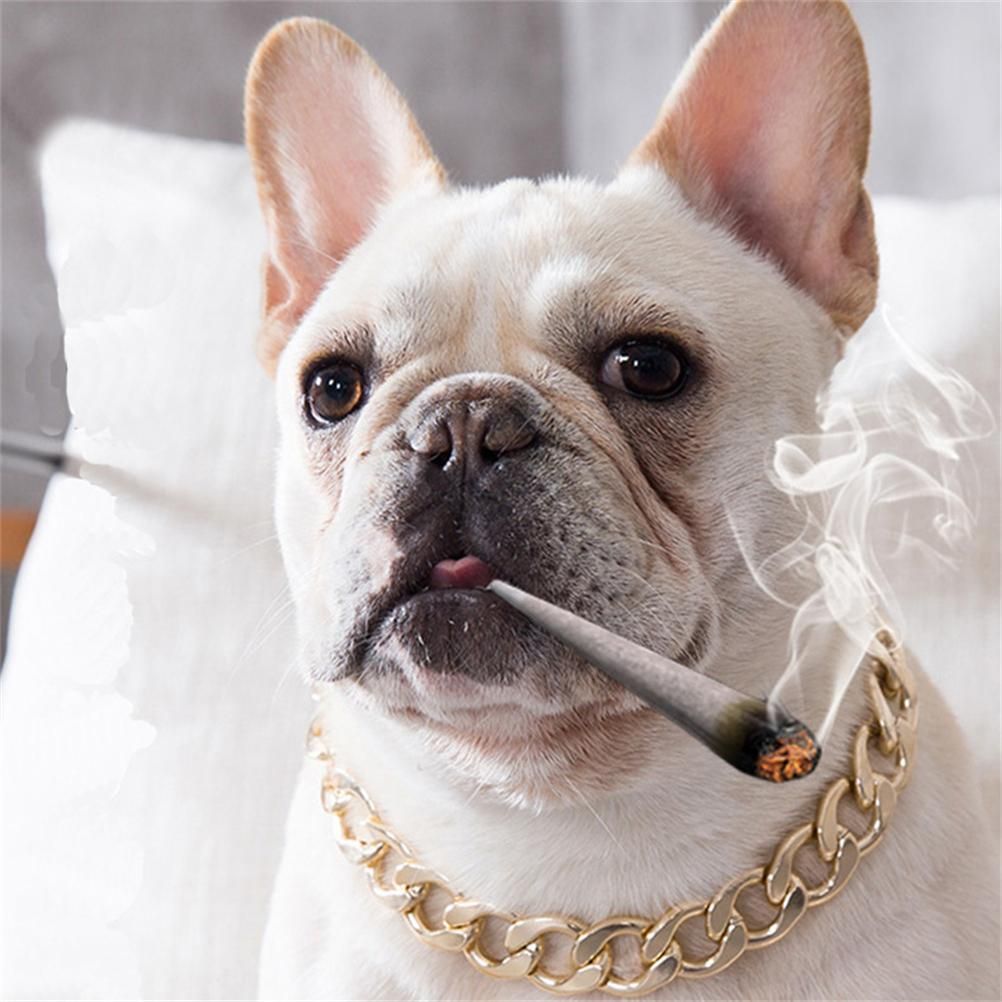 Dog Chain Pet Dog Metal Gold Collar Necklace Pet Jewelry Accessories for Four Seasons - Image 2