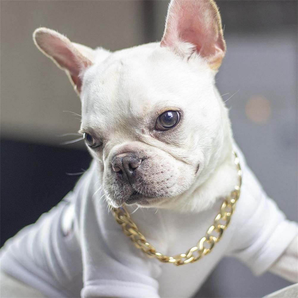 Dog Chain Pet Dog Metal Gold Collar Necklace Pet Jewelry Accessories for Four Seasons - Image 3