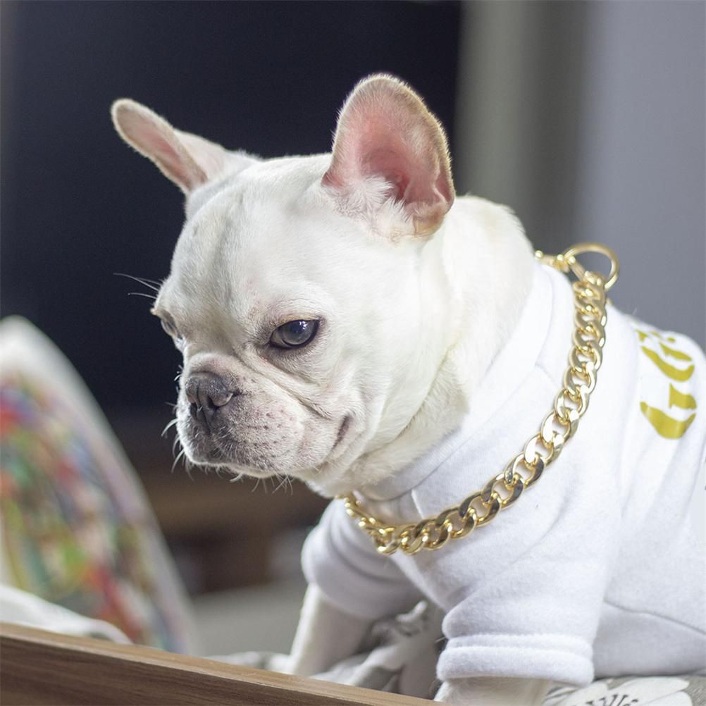 Dog Chain Pet Dog Metal Gold Collar Necklace Pet Jewelry Accessories for Four Seasons - Image 5
