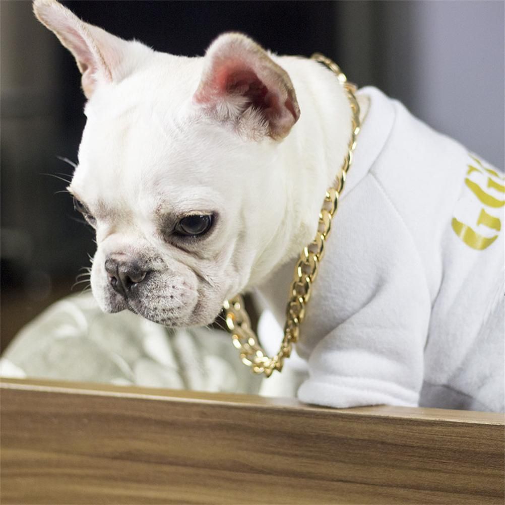 Dog Chain Pet Dog Metal Gold Collar Necklace Pet Jewelry Accessories for Four Seasons - Image 6