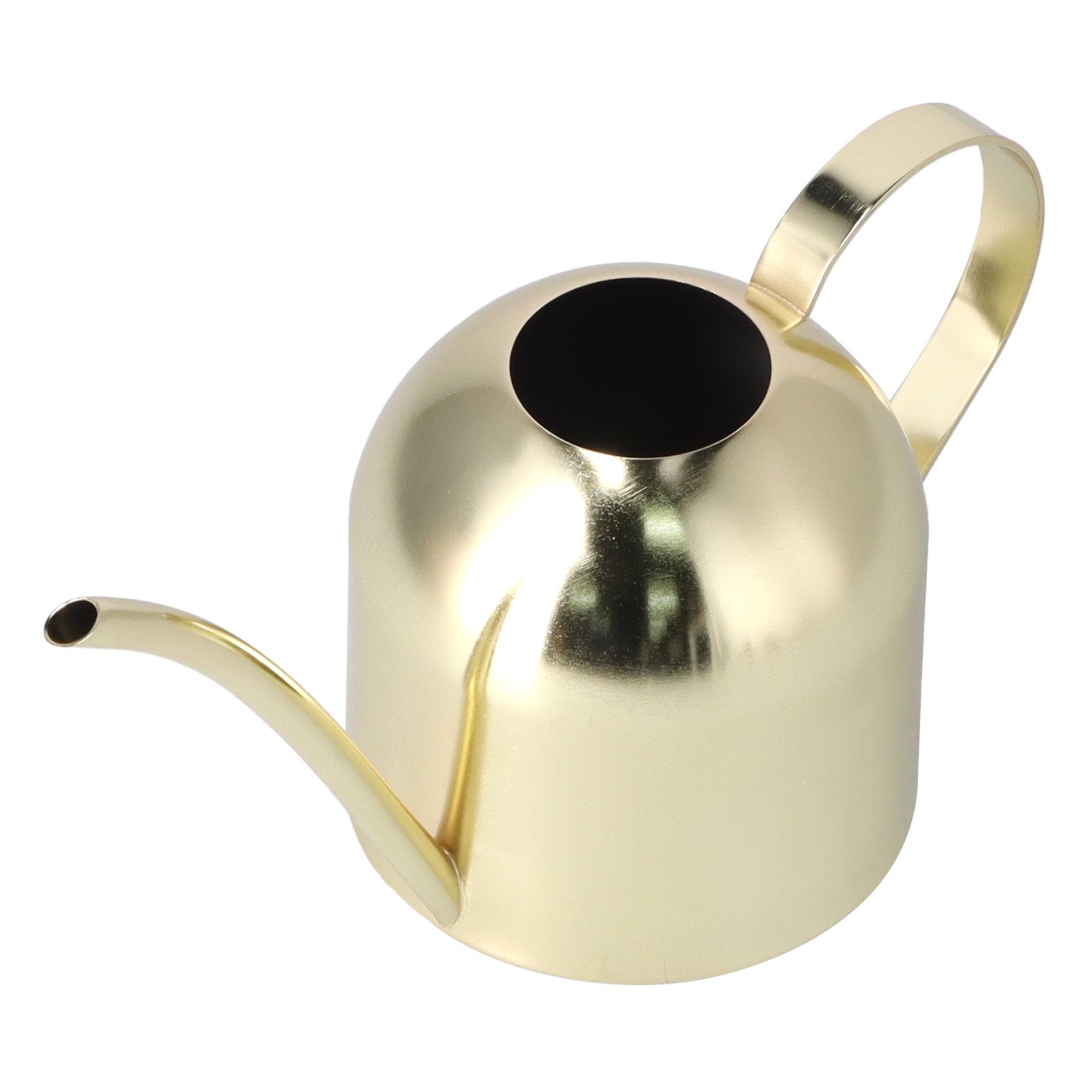 1000ML Watering Can Indoor Vintage Stainless Steel Succulent Flowers Plants Watering Kettle Pot Gold - Image 2