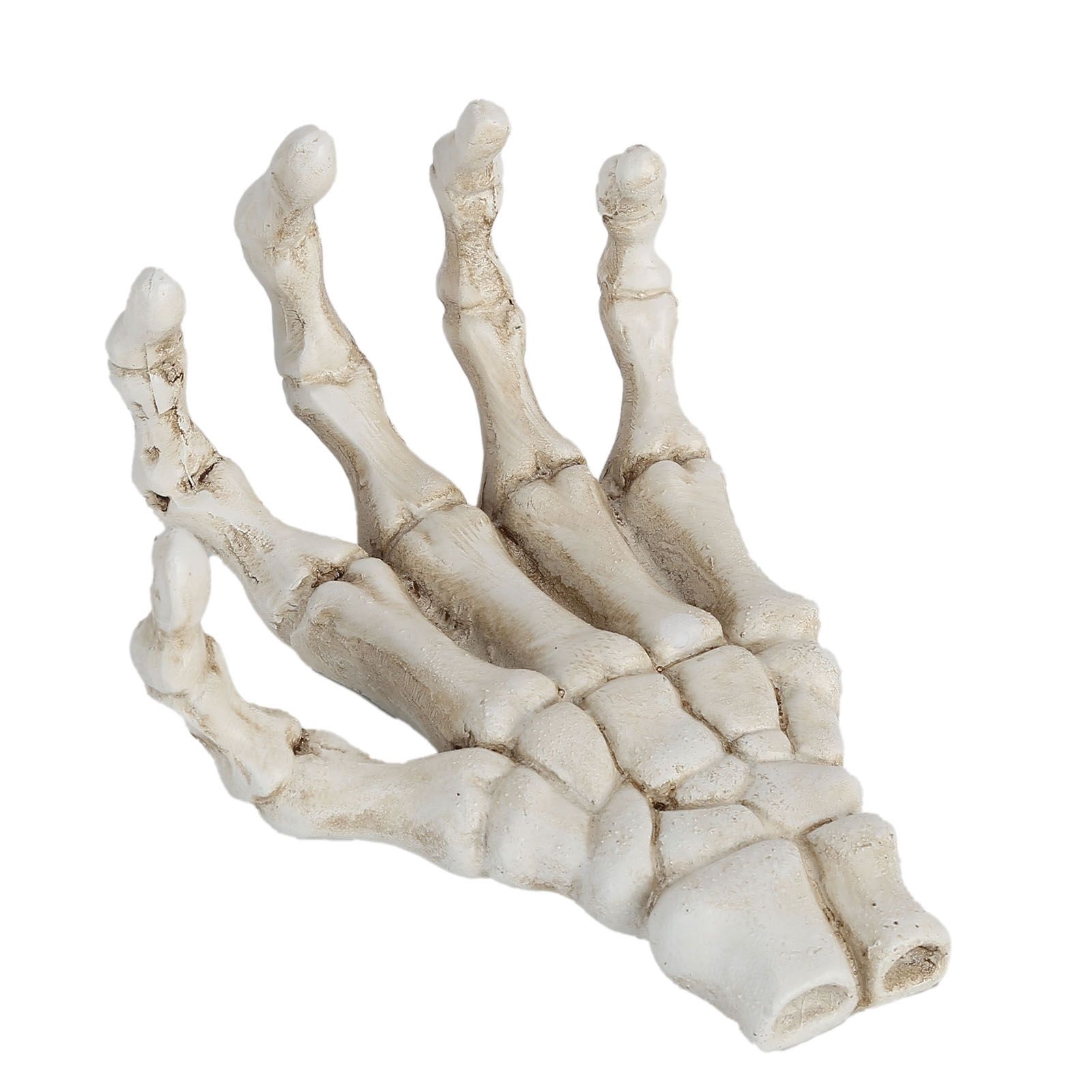 Halloween Skeleton Hands High Hardness Corrosion Resistance Light Weight Hand Bone Ornaments for Teaching Tool Bracket - Image 1