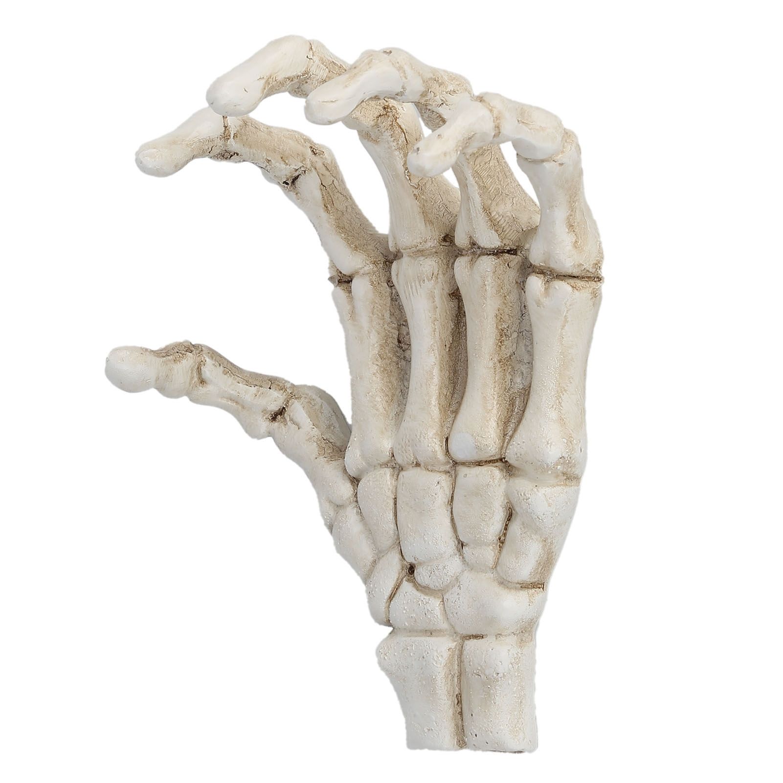 Halloween Skeleton Hands High Hardness Corrosion Resistance Light Weight Hand Bone Ornaments for Teaching Tool Bracket - Image 3