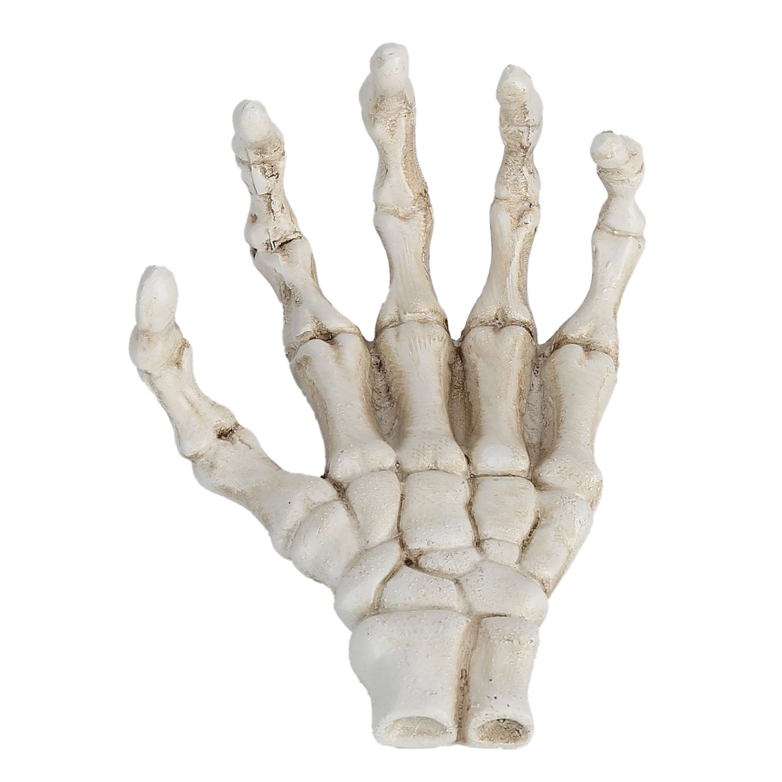 Halloween Skeleton Hands High Hardness Corrosion Resistance Light Weight Hand Bone Ornaments for Teaching Tool Bracket - Image 5