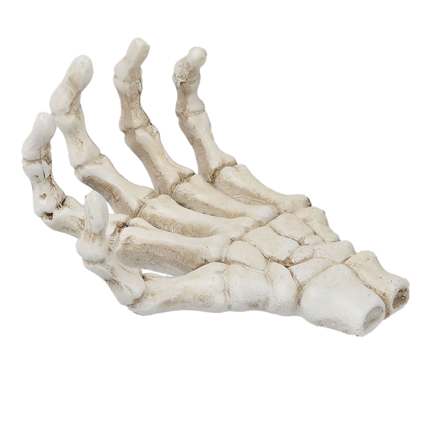 Halloween Skeleton Hands High Hardness Corrosion Resistance Light Weight Hand Bone Ornaments for Teaching Tool Bracket - Image 6