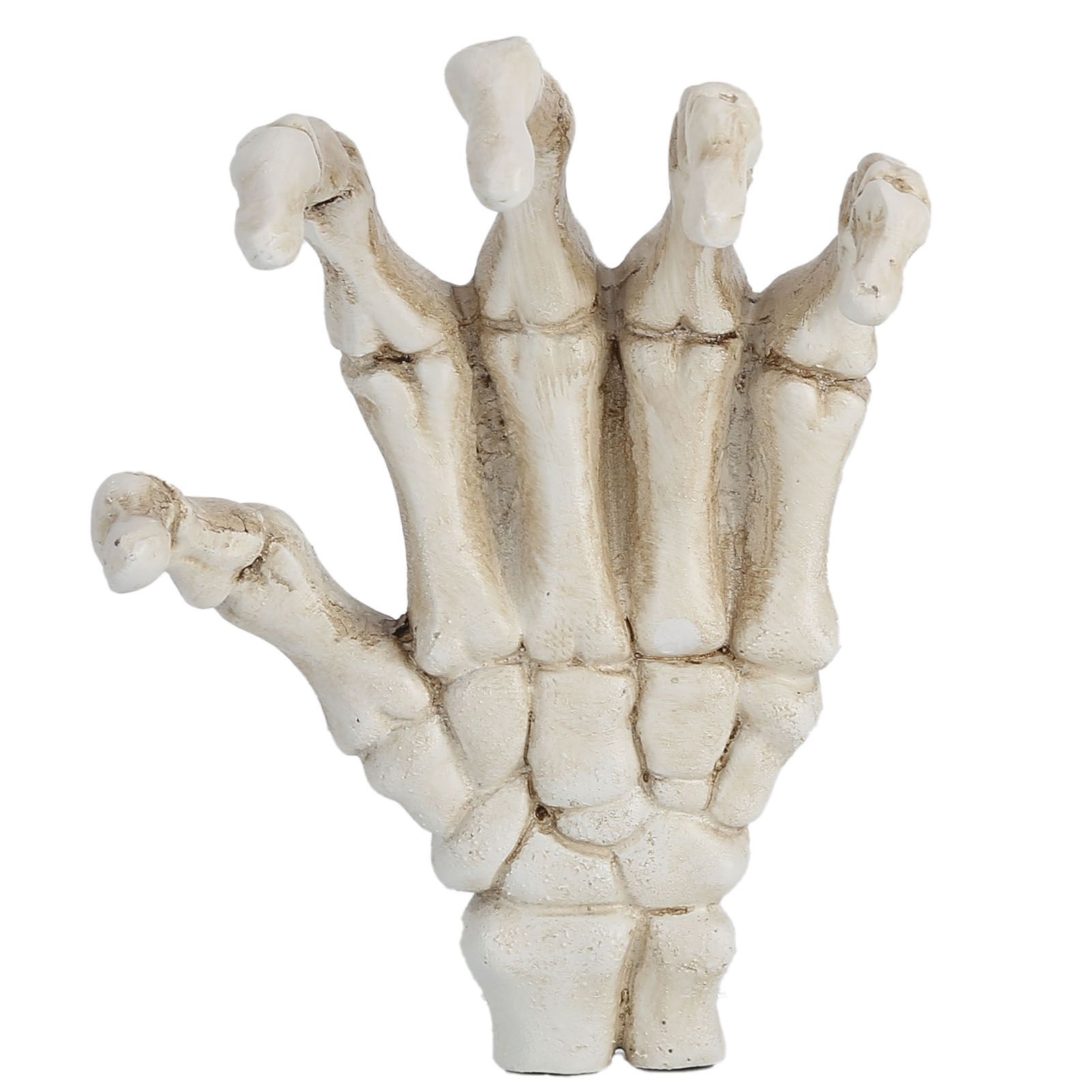 Halloween Skeleton Hands High Hardness Corrosion Resistance Light Weight Hand Bone Ornaments for Teaching Tool Bracket - Image 7