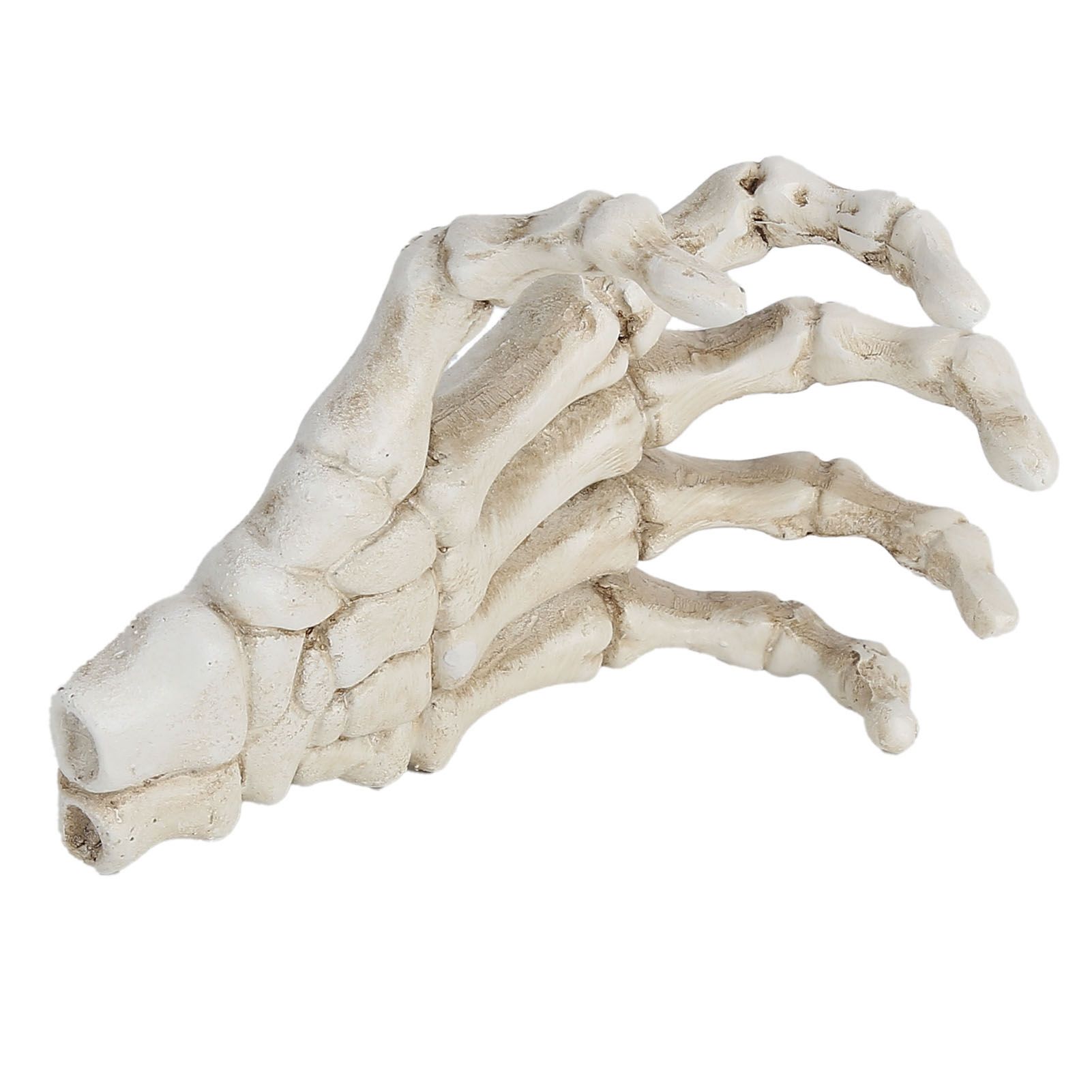 Halloween Skeleton Hands High Hardness Corrosion Resistance Light Weight Hand Bone Ornaments for Teaching Tool Bracket - Image 8