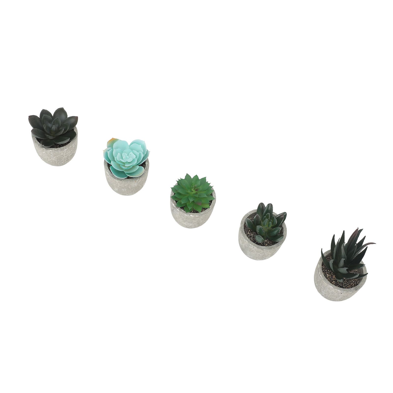 5pcs Artificial Succulent Plants Potted Assorted Mini Decorative Faux Succulent Potted Fake Plants Succulents in Paper Pulp Pot - Image 2