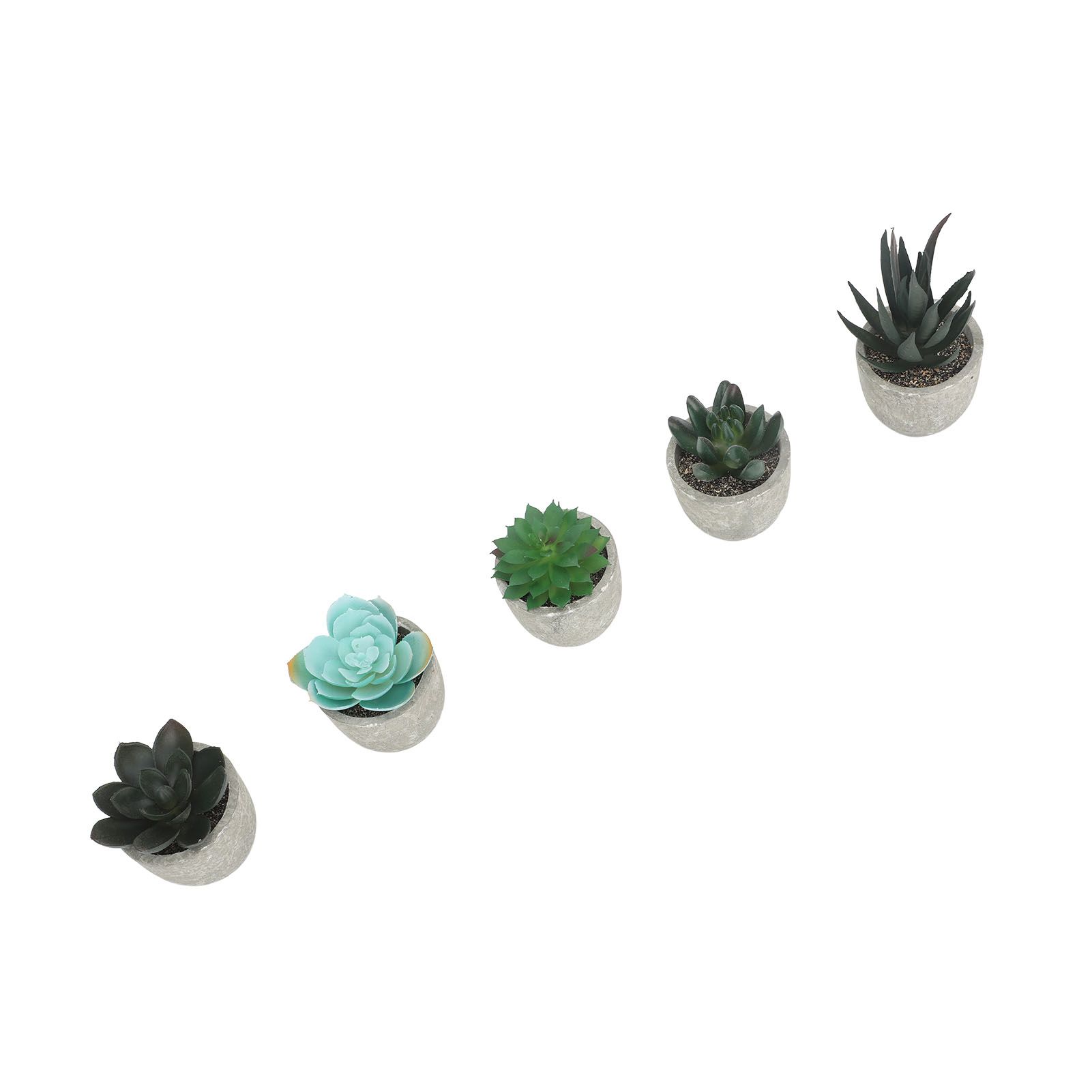 5pcs Artificial Succulent Plants Potted Assorted Mini Decorative Faux Succulent Potted Fake Plants Succulents in Paper Pulp Pot - Image 3