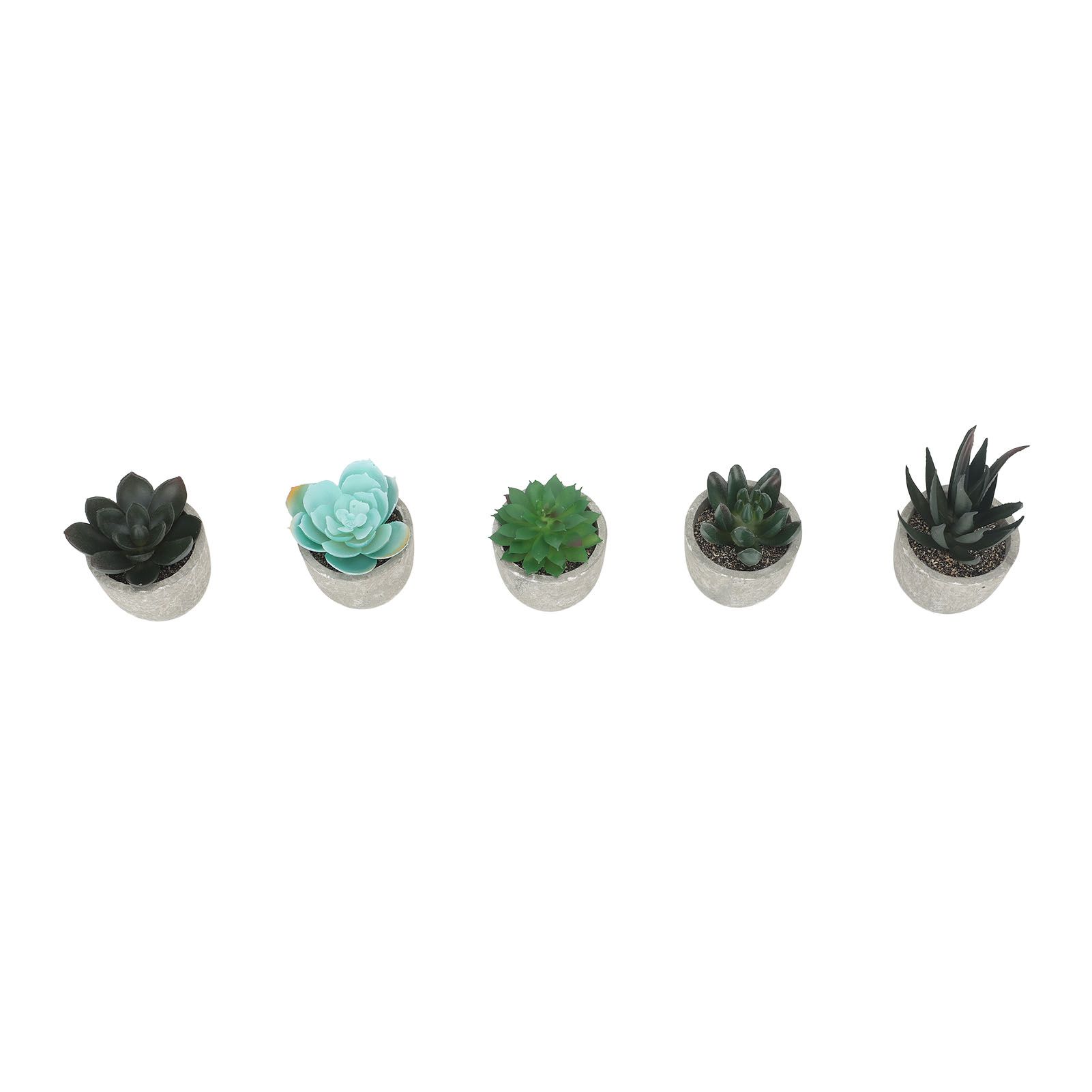 5pcs Artificial Succulent Plants Potted Assorted Mini Decorative Faux Succulent Potted Fake Plants Succulents in Paper Pulp Pot - Image 4
