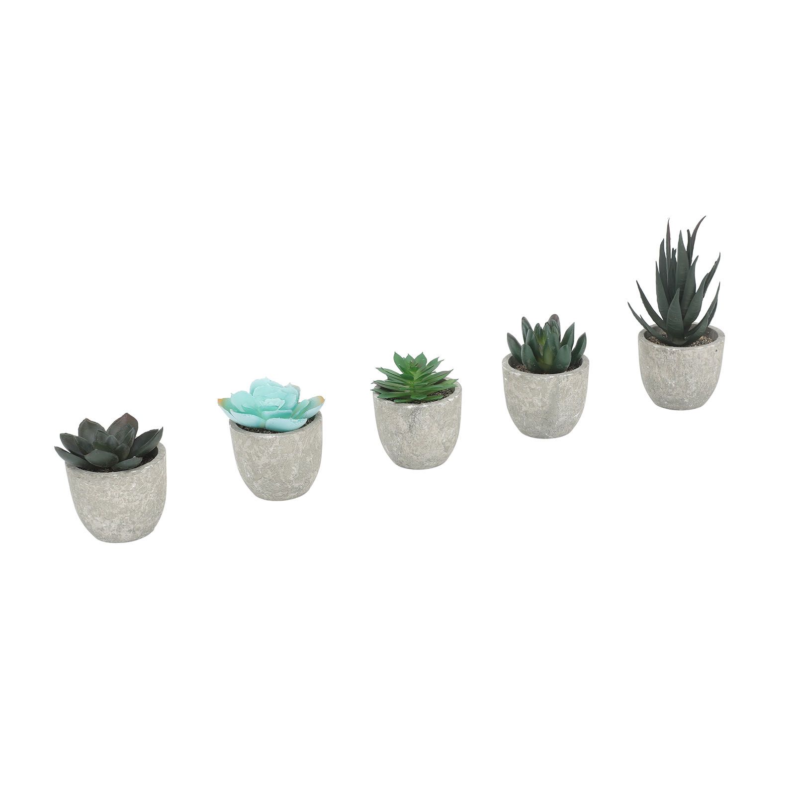 5pcs Artificial Succulent Plants Potted Assorted Mini Decorative Faux Succulent Potted Fake Plants Succulents in Paper Pulp Pot - Image 6