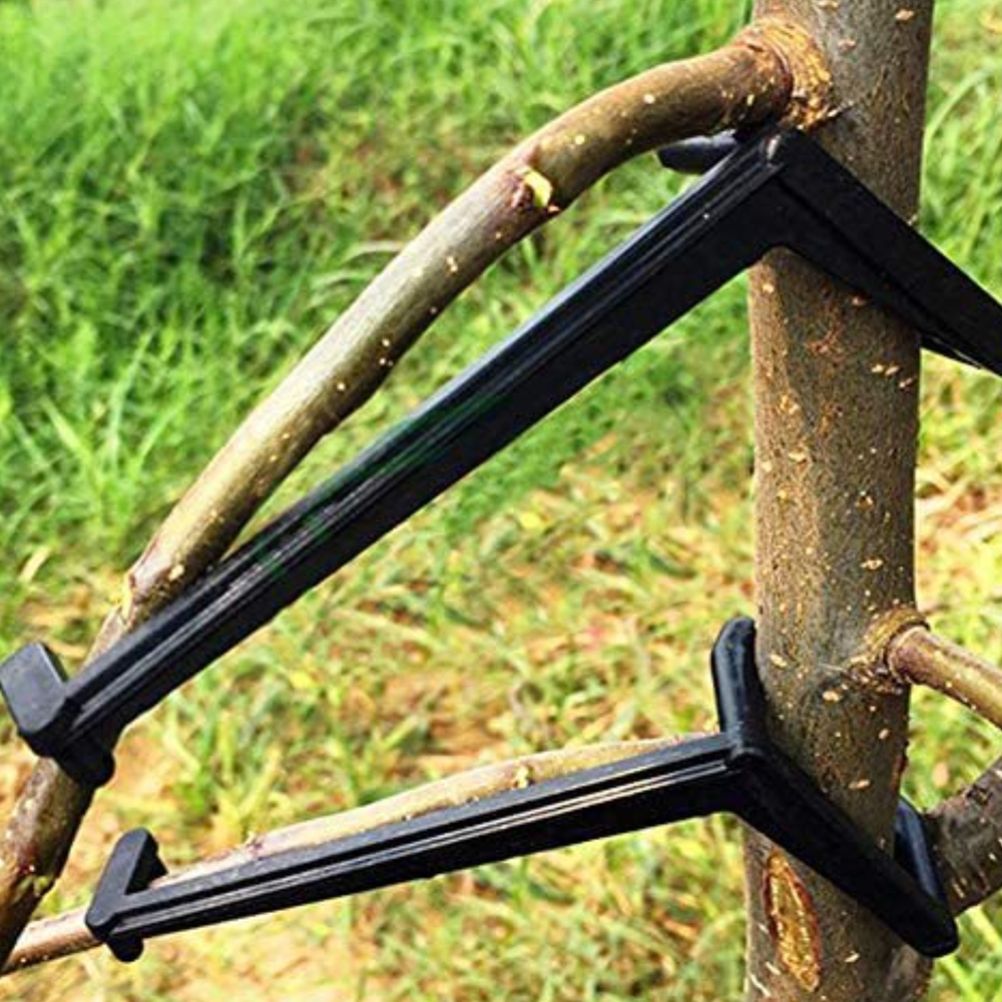 100PCS Adjustable Fruit Branch Spreader to Support New Branch Growth Reusable Plastic Bonsai Branch Trunk Spreaders - Image 6