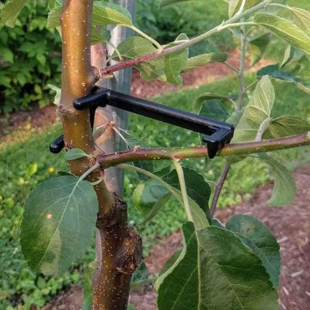 100PCS Adjustable Fruit Branch Spreader to Support New Branch Growth Reusable Plastic Bonsai Branch Trunk Spreaders - Image 7