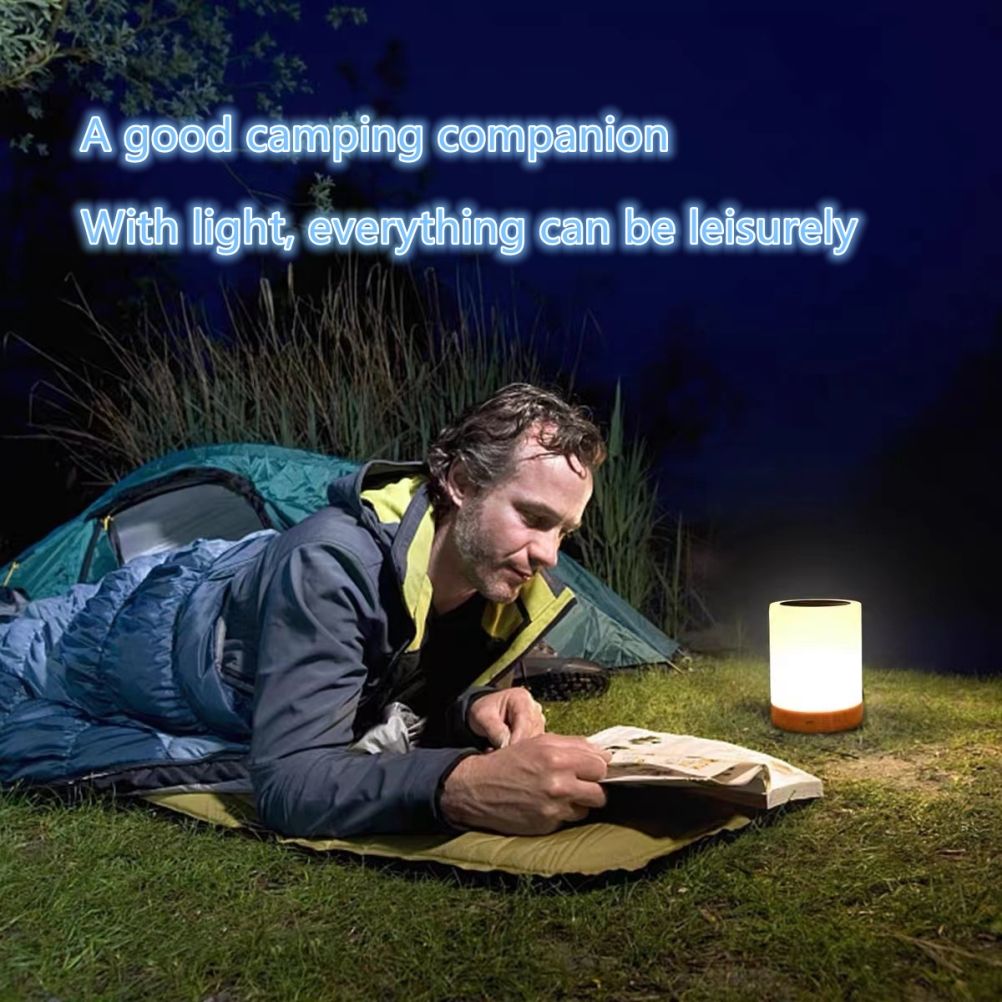 LED Touch Lamp USB Rechargeable Table Bedside Lamps Dimmable RGB Warm White Night Lights for Outdoor Living Room Bedroom Office - Image 6
