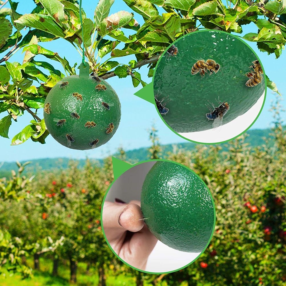 10Pcs Fruit Fly Trap with Sticky Gnat Killer Fruit Fly Traps Effective Fly Catcher Insect Trap for Indoor Outdoor Kitchen - Image 3