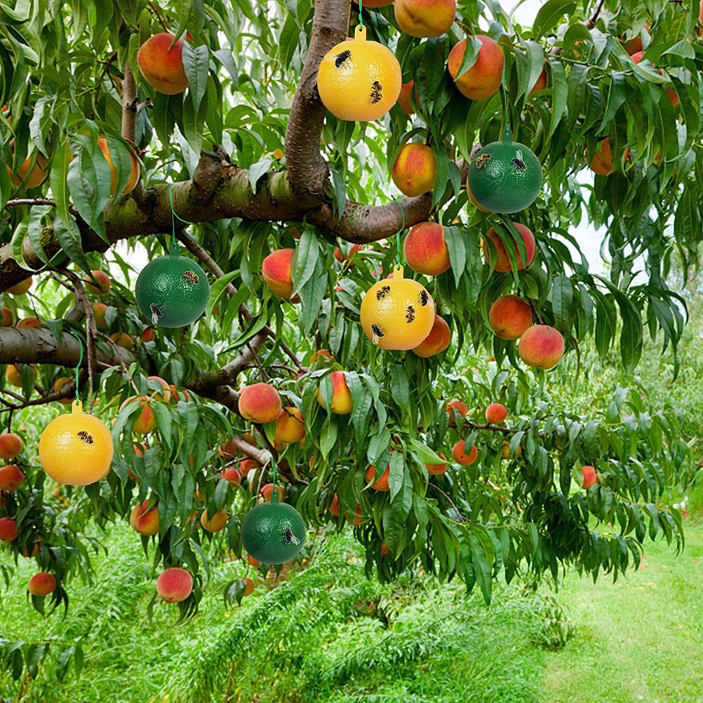 10Pcs Fruit Fly Trap with Sticky Gnat Killer Fruit Fly Traps Effective Fly Catcher Insect Trap for Indoor Outdoor Kitchen - Image 7