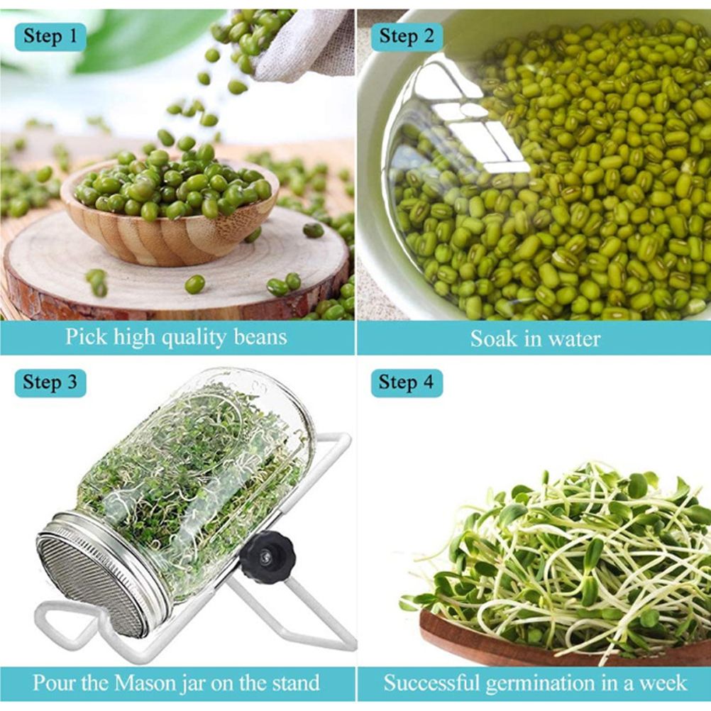 Sprouting Jar With Stainless Steel 304 Screen Lid Wide Mouth Quart Mason Sprouter - Image 5