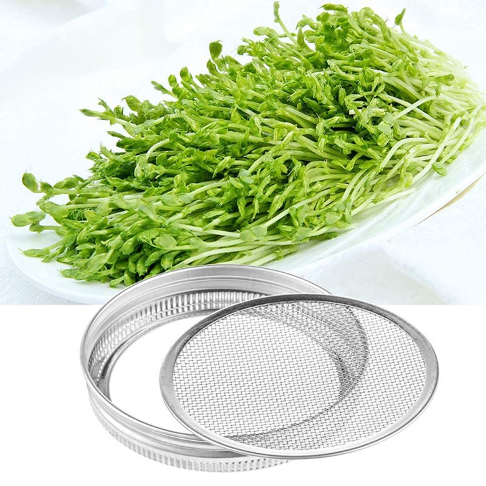 Sprouting Jar With Stainless Steel 304 Screen Lid Wide Mouth Quart Mason Sprouter - Image 7