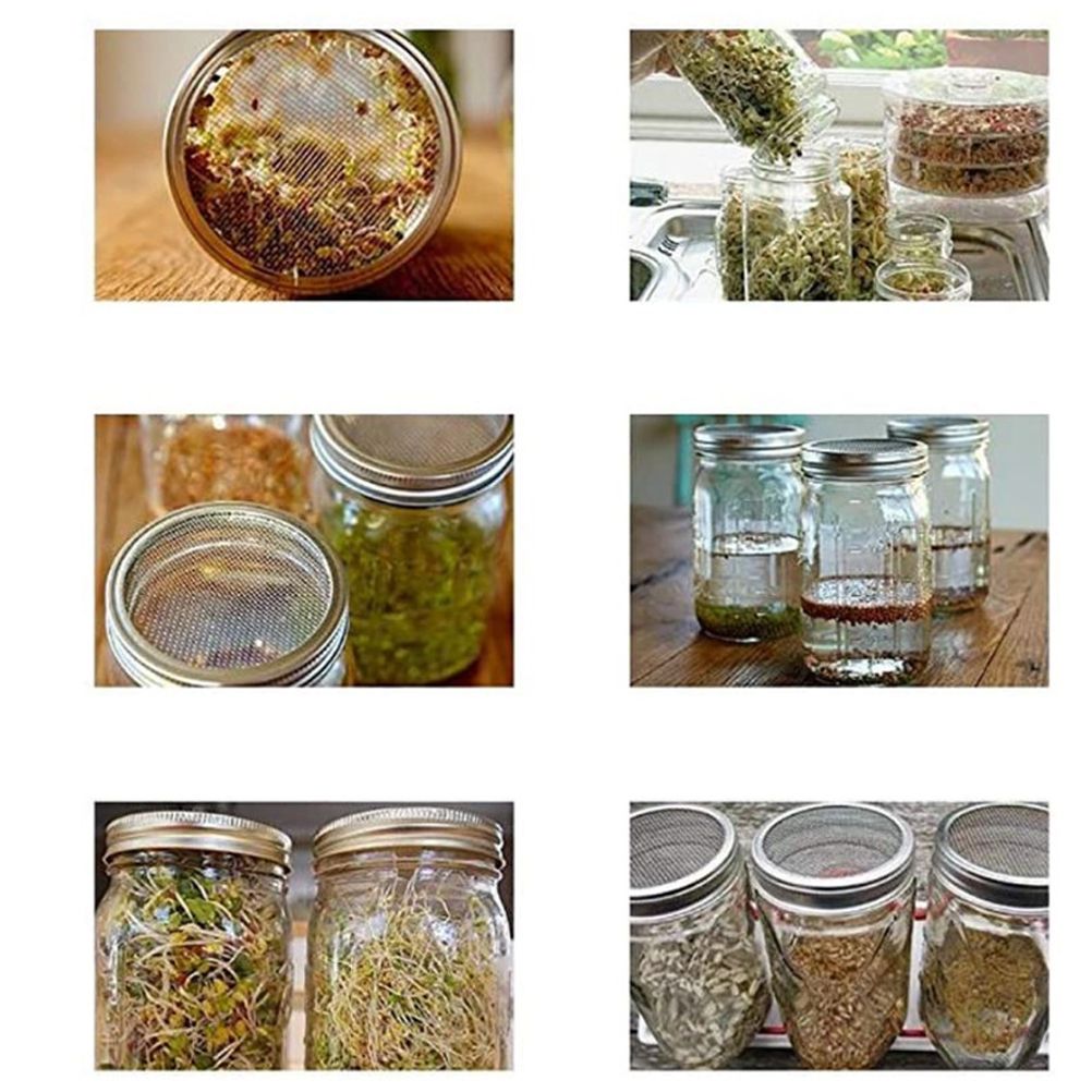 Sprouting Jar With Stainless Steel 304 Screen Lid Wide Mouth Quart Mason Sprouter - Image 8