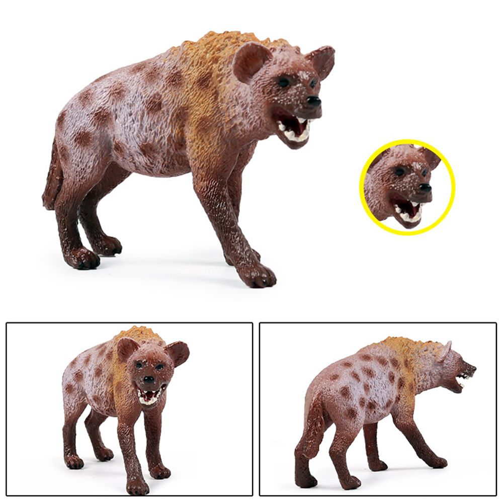 Hyena Figurine Ornaments Simulation PVC Hyena Wild Animals Figurine Collectible Hyena Model Toys for Kids - Image 4