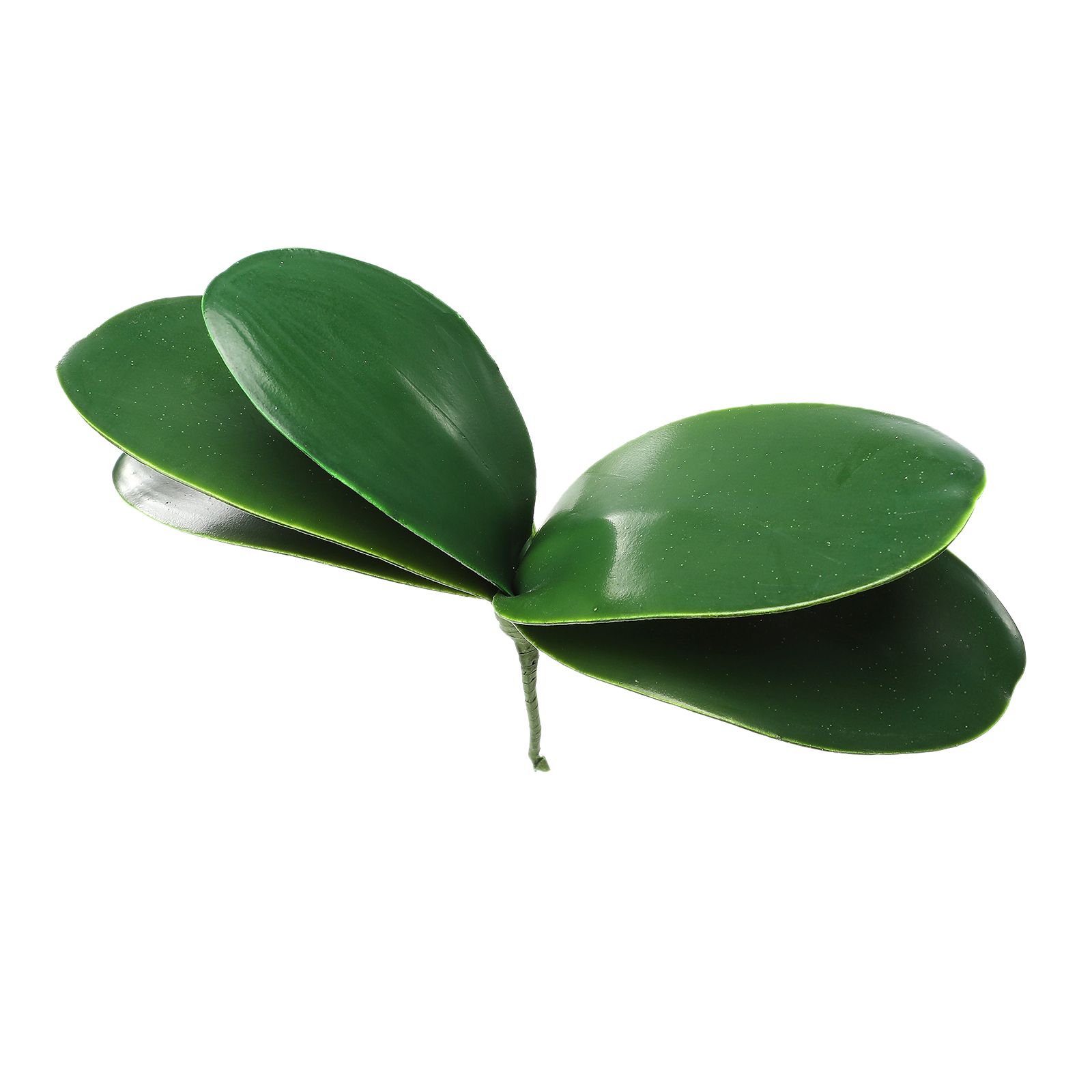 Phalaenopsis Leaves Orchid Leaves Wedding Home Decoration Simulation Plants - Image 1
