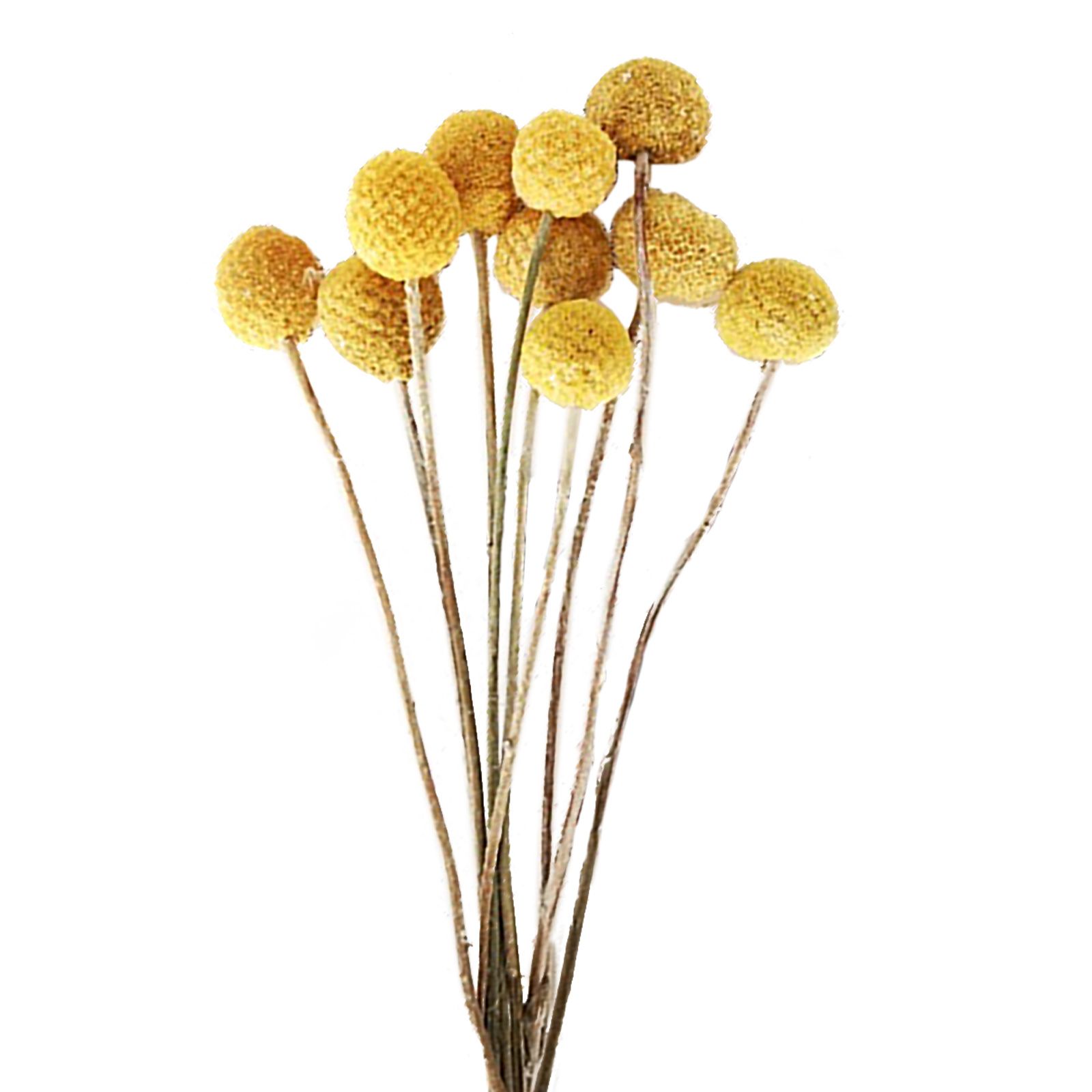Artificial Dried Pampas Grass Plastic Simulation Reed for Wedding Home Decoration - Image 1