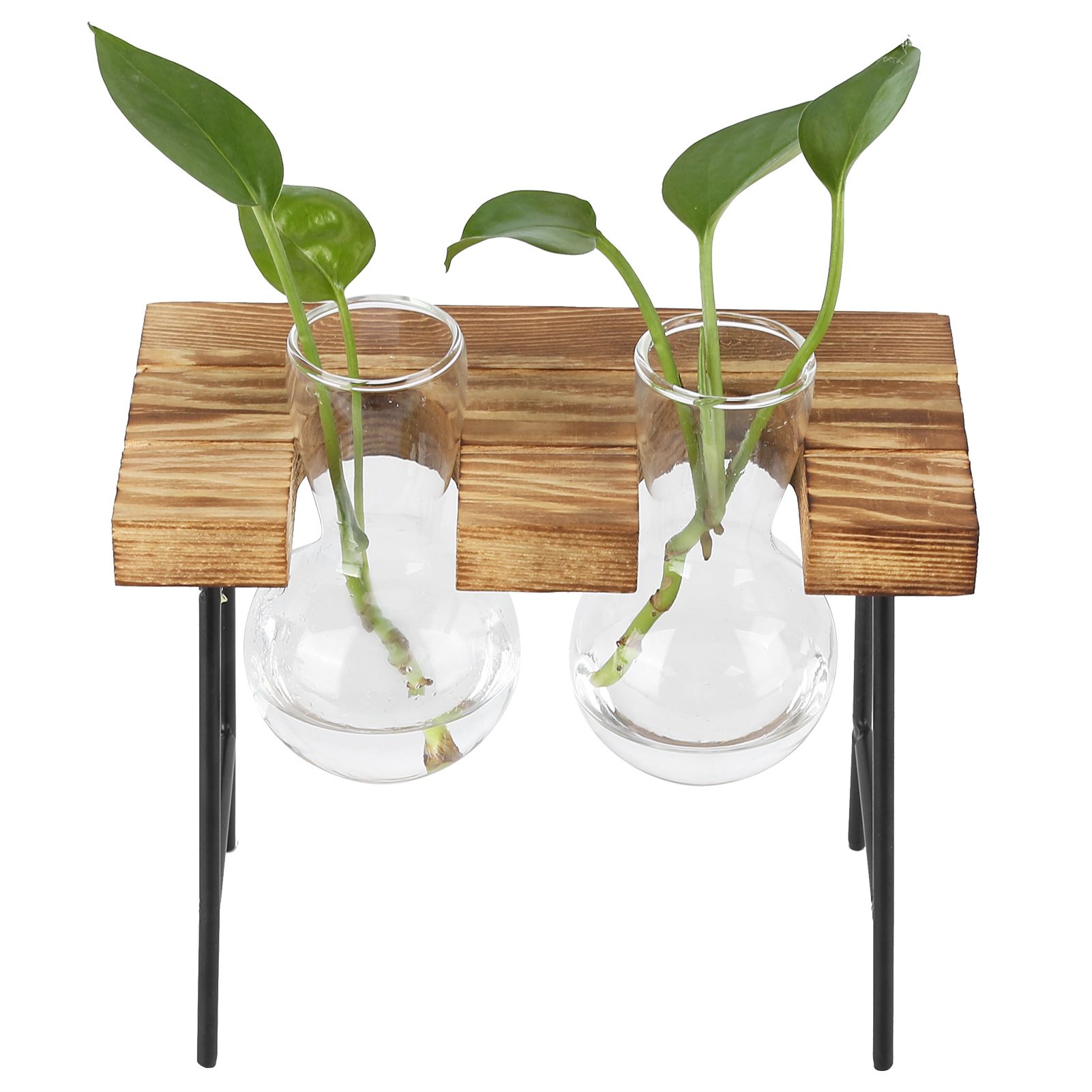 Desktop Glass Planter Wooden Stand Bulb Glass Vase Hydroponics Plant Planter for Home Office Garden2 Bottle - Image 8