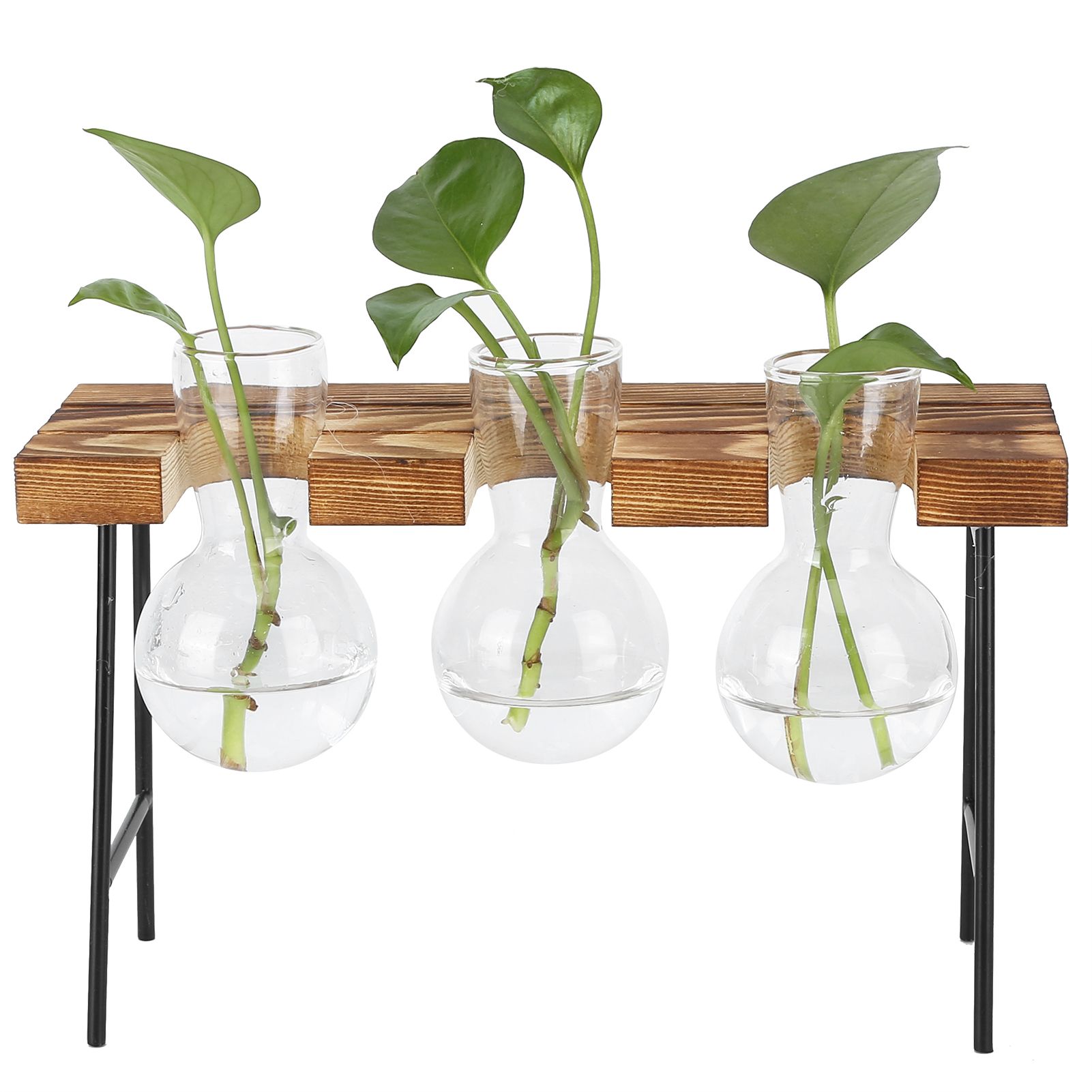Desktop Glass Planter Wooden Stand Bulb Glass Vase Hydroponics Plant Planter for Home Office Garden3 Bottle - Image 7