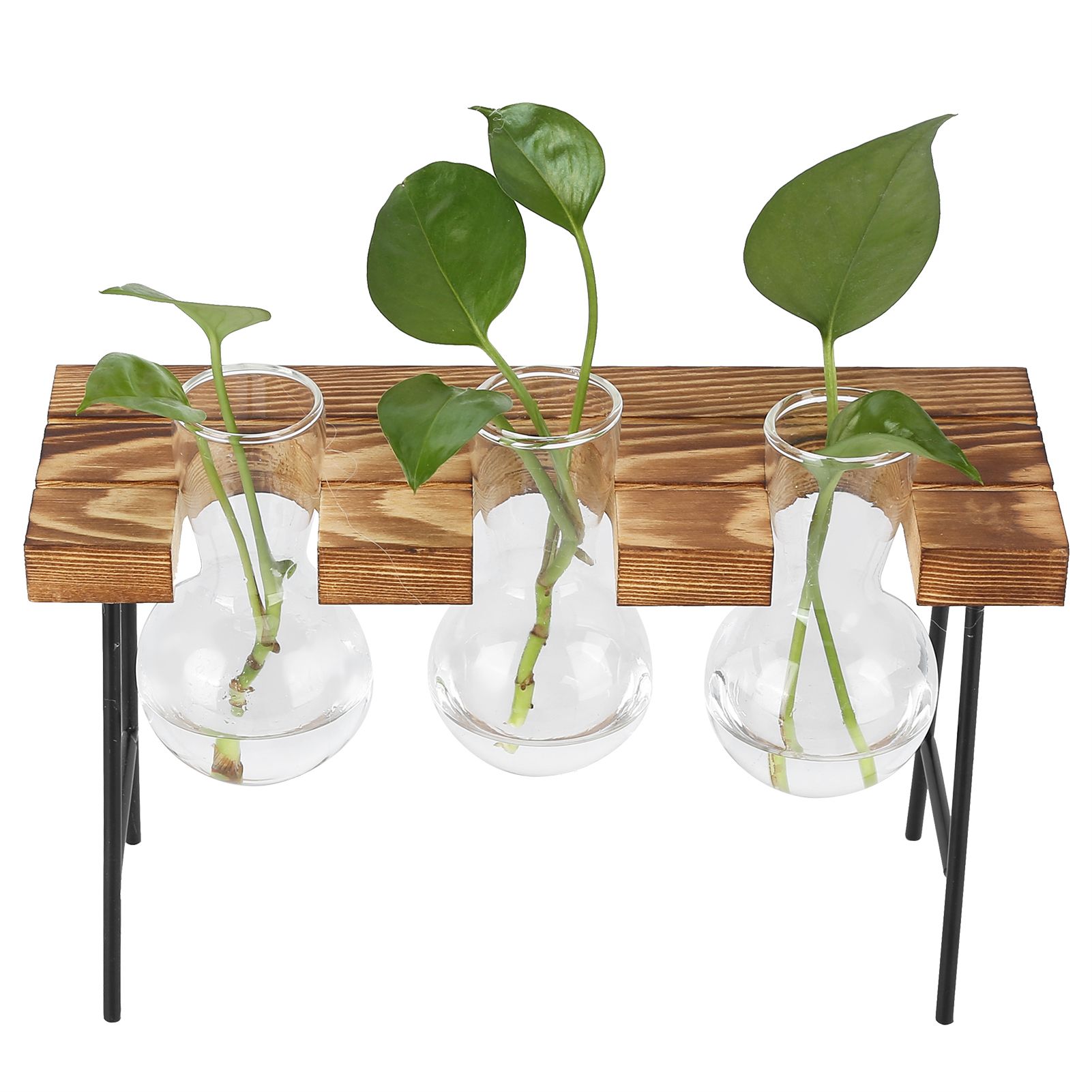 Desktop Glass Planter Wooden Stand Bulb Glass Vase Hydroponics Plant Planter for Home Office Garden3 Bottle - Image 8