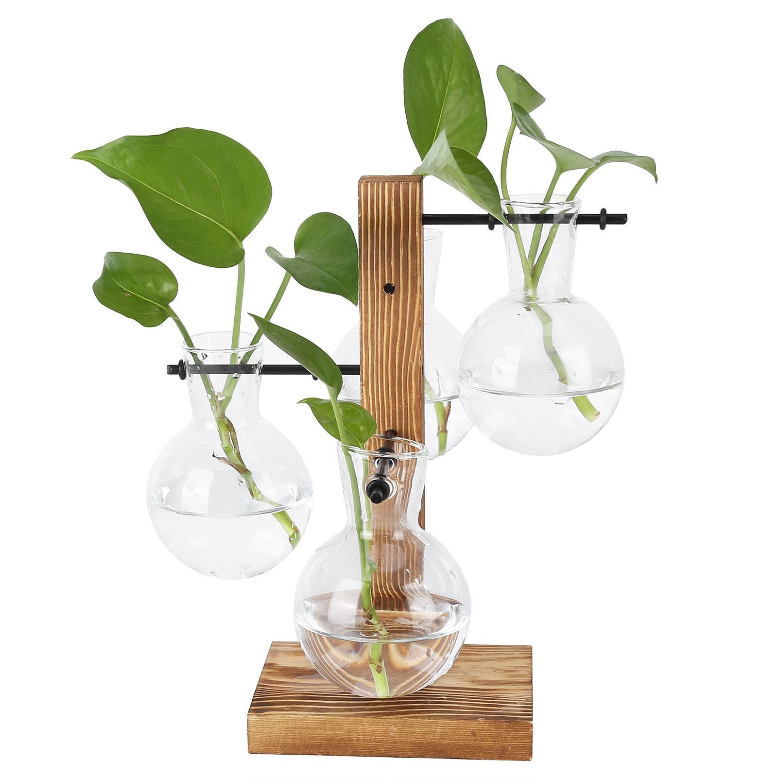 Innovative Hydroponic Vase with Wooden Stand Transparent Desktop Flower Vase for Home - Image 4