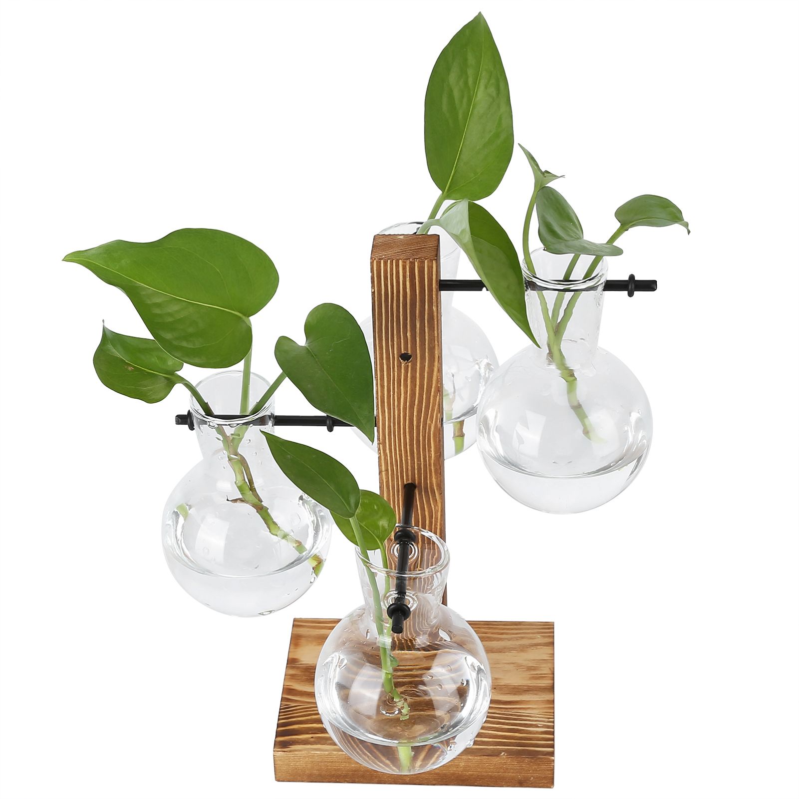 Innovative Hydroponic Vase with Wooden Stand Transparent Desktop Flower Vase for Home - Image 5