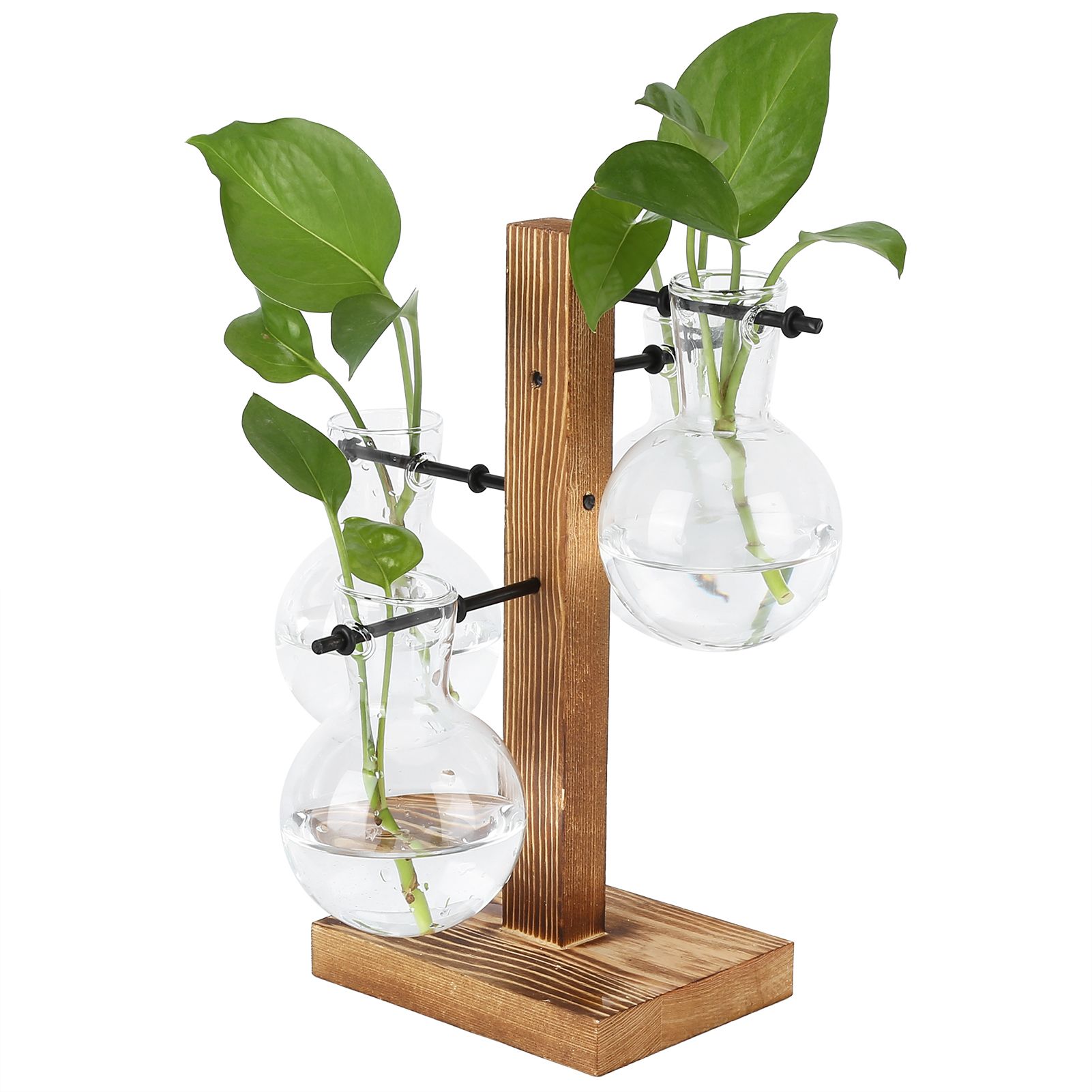 Innovative Hydroponic Vase with Wooden Stand Transparent Desktop Flower Vase for Home - Image 6