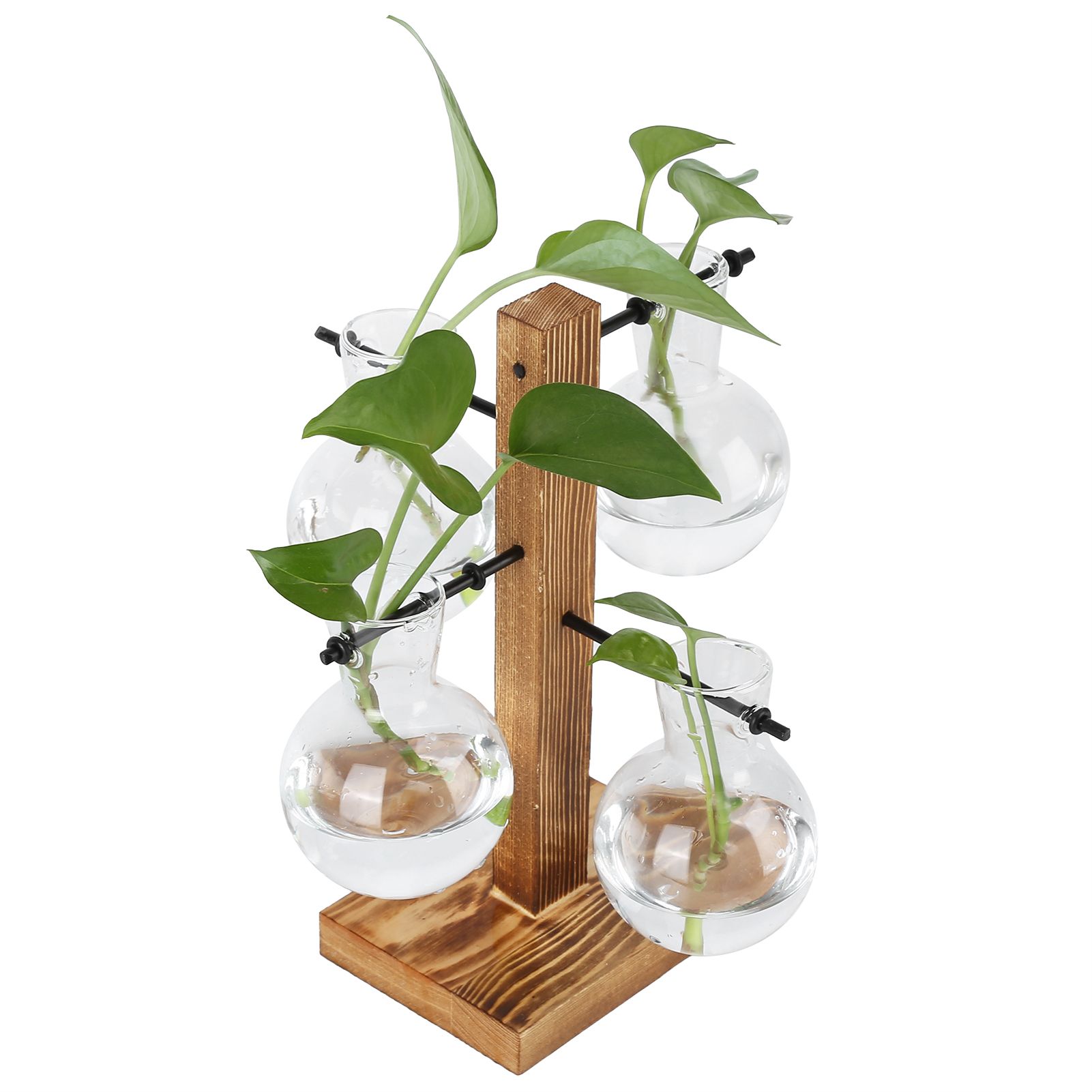 Innovative Hydroponic Vase with Wooden Stand Transparent Desktop Flower Vase for Home - Image 7