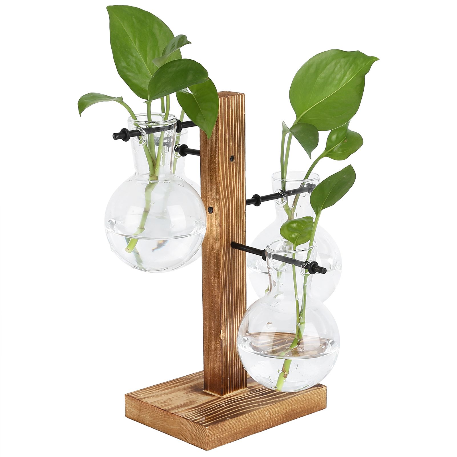 Innovative Hydroponic Vase with Wooden Stand Transparent Desktop Flower Vase for Home - Image 8