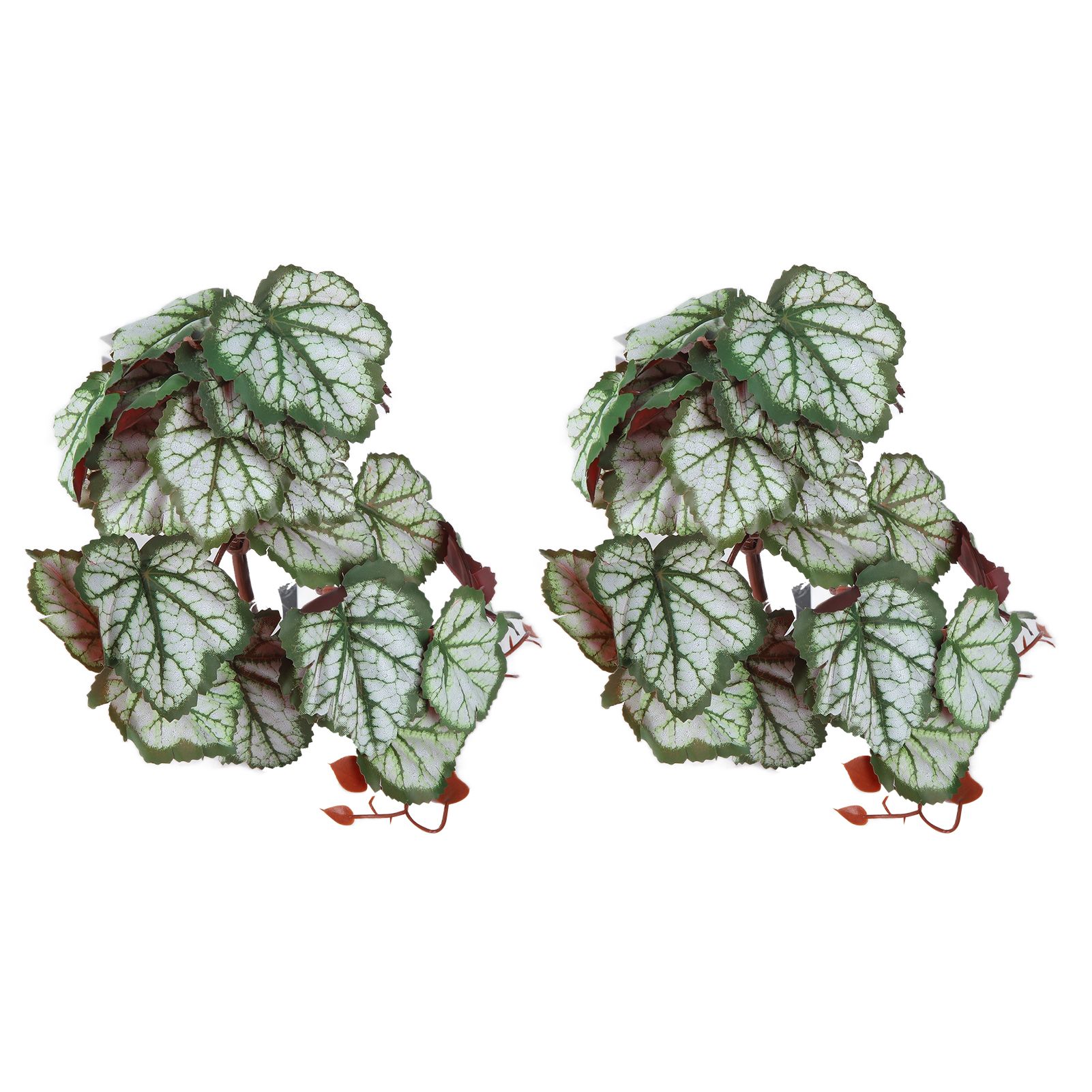 2PCS Artificial Water Plant Simulation Vine Lifelike Plastic Leaves Decoration with Suction Cup for Fish TankHeuchera Leaves - Image 6