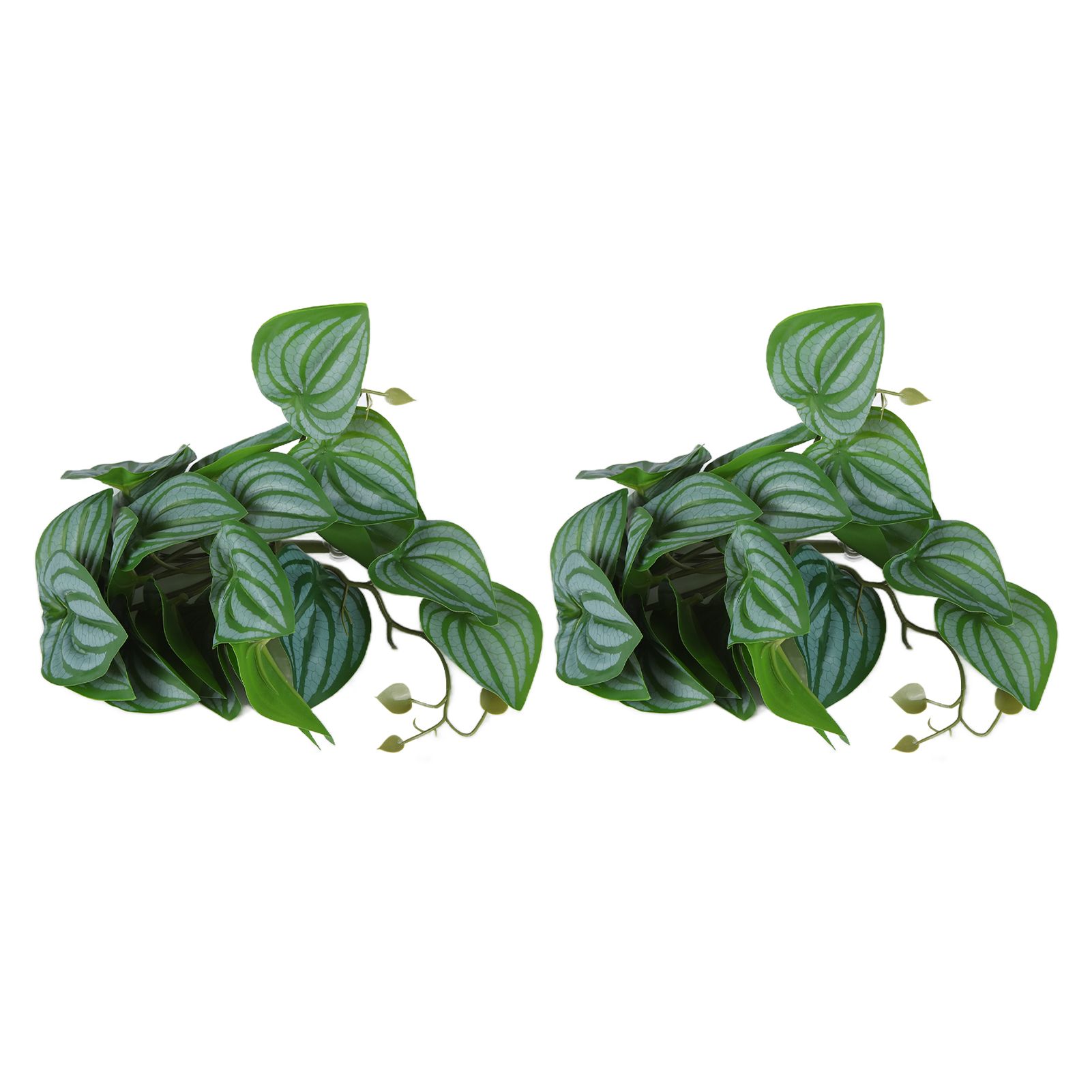 2PCS Artificial Water Plant Simulation Vine Lifelike Plastic Leaves Decoration with Suction Cup for Fish TankWatermelon Leaves - Image 1