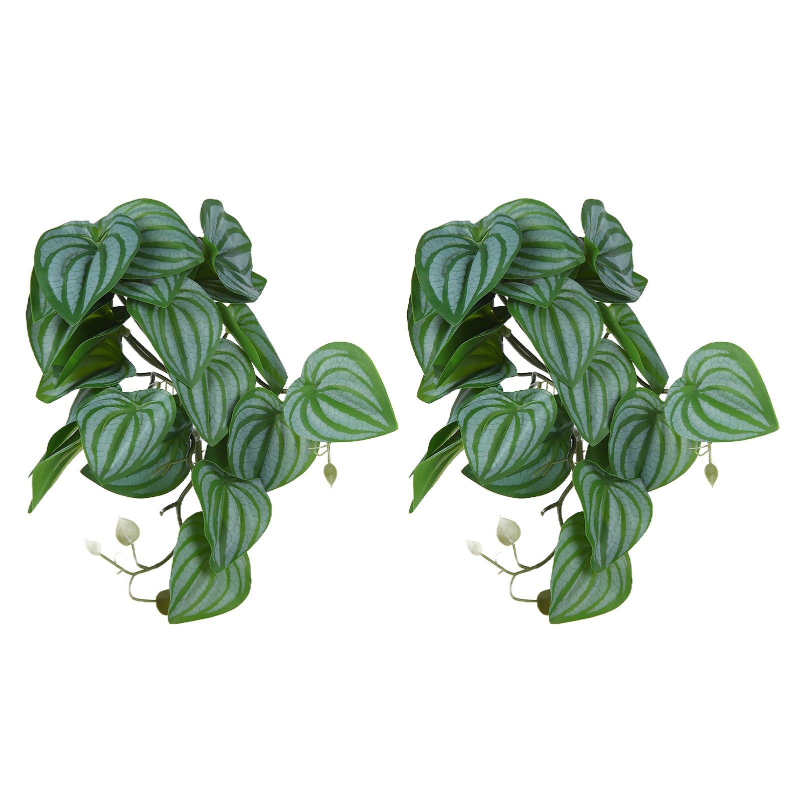 2PCS Artificial Water Plant Simulation Vine Lifelike Plastic Leaves Decoration with Suction Cup for Fish TankWatermelon Leaves - Image 5