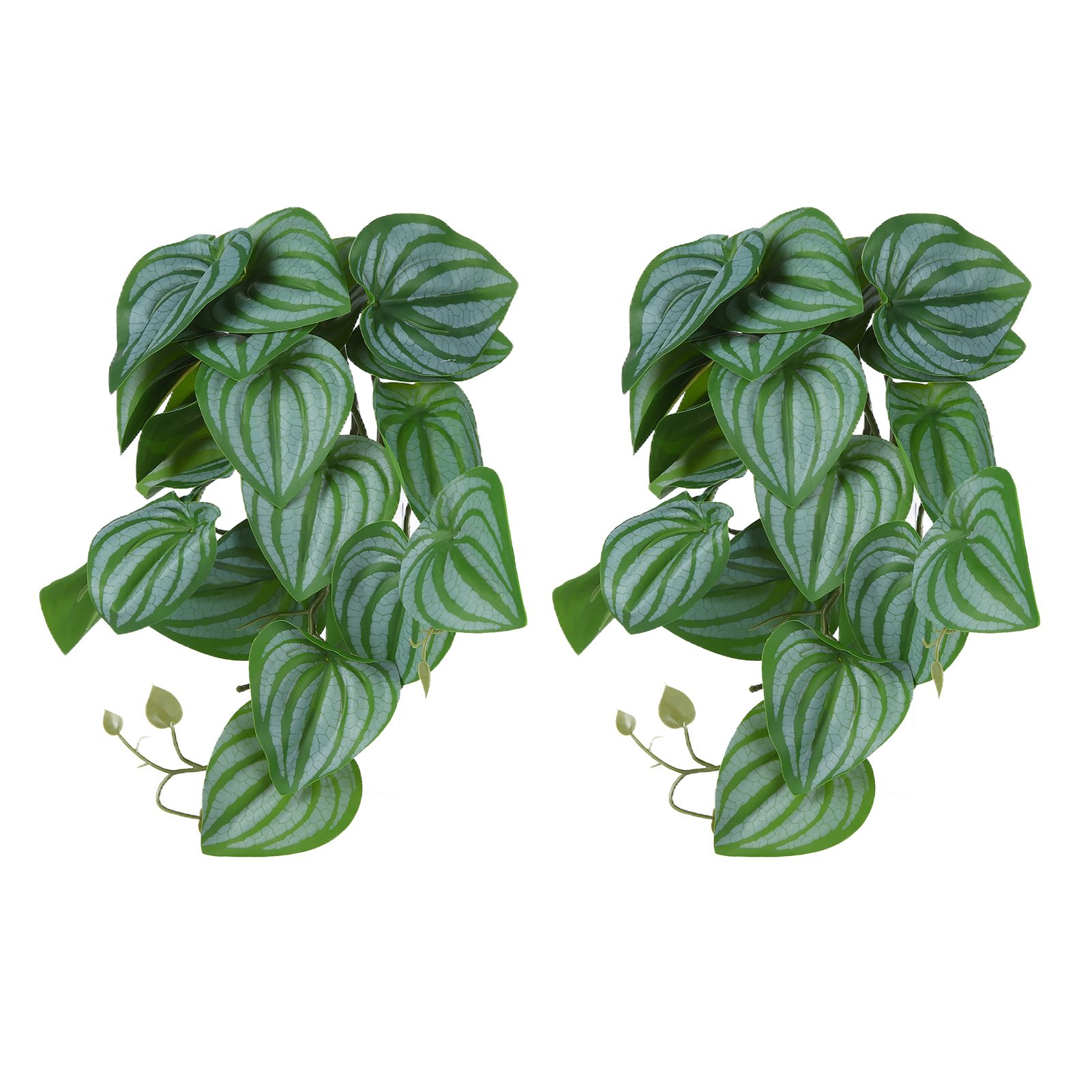 2PCS Artificial Water Plant Simulation Vine Lifelike Plastic Leaves Decoration with Suction Cup for Fish TankWatermelon Leaves - Image 6