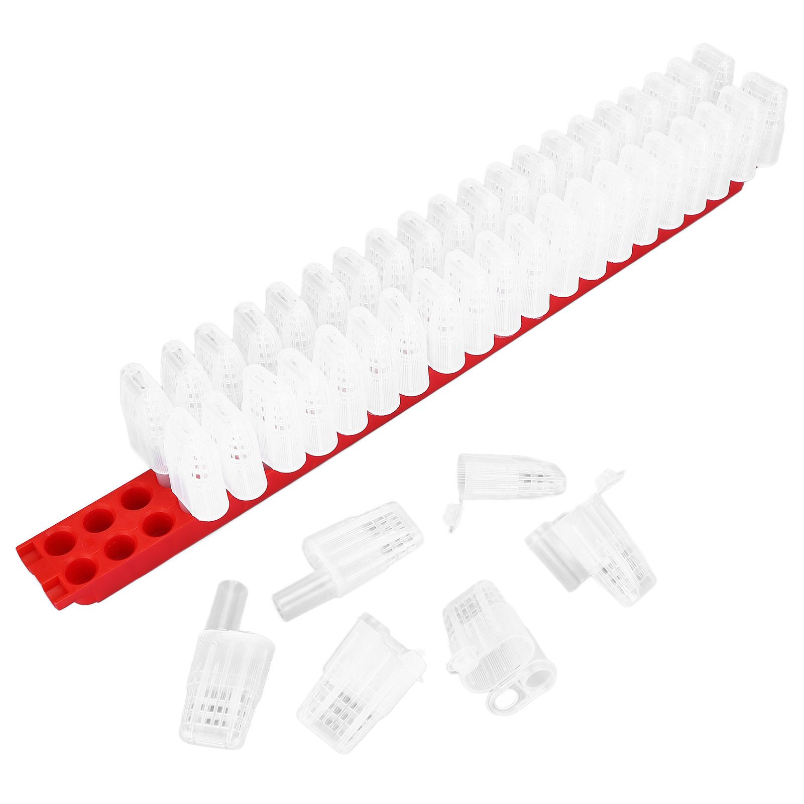 Bee Queen Cage Plastic Bee Rearing Cages Kit with Transport Strip Beekeeping Accessories - Image 1