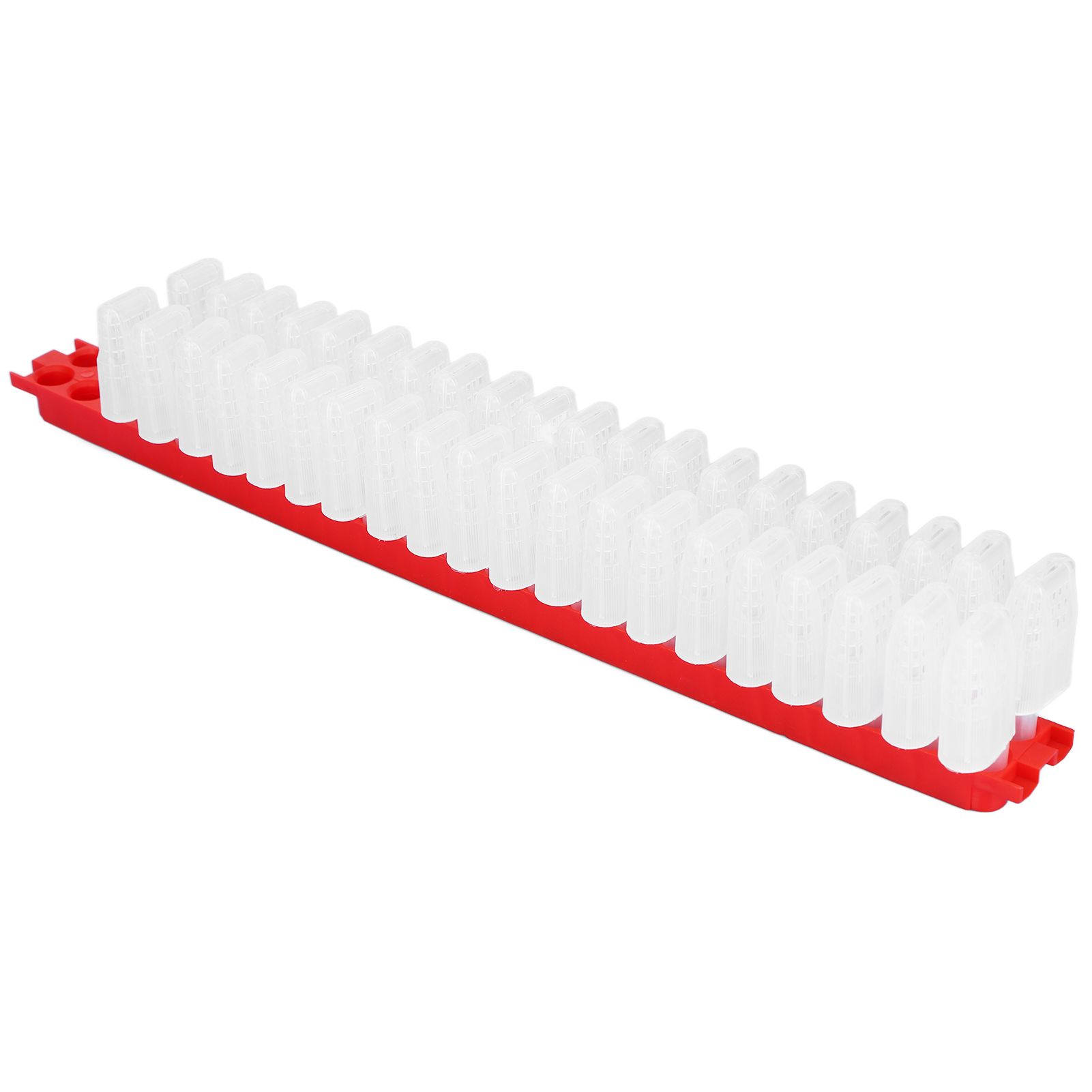 Bee Queen Cage Plastic Bee Rearing Cages Kit with Transport Strip Beekeeping Accessories - Image 4