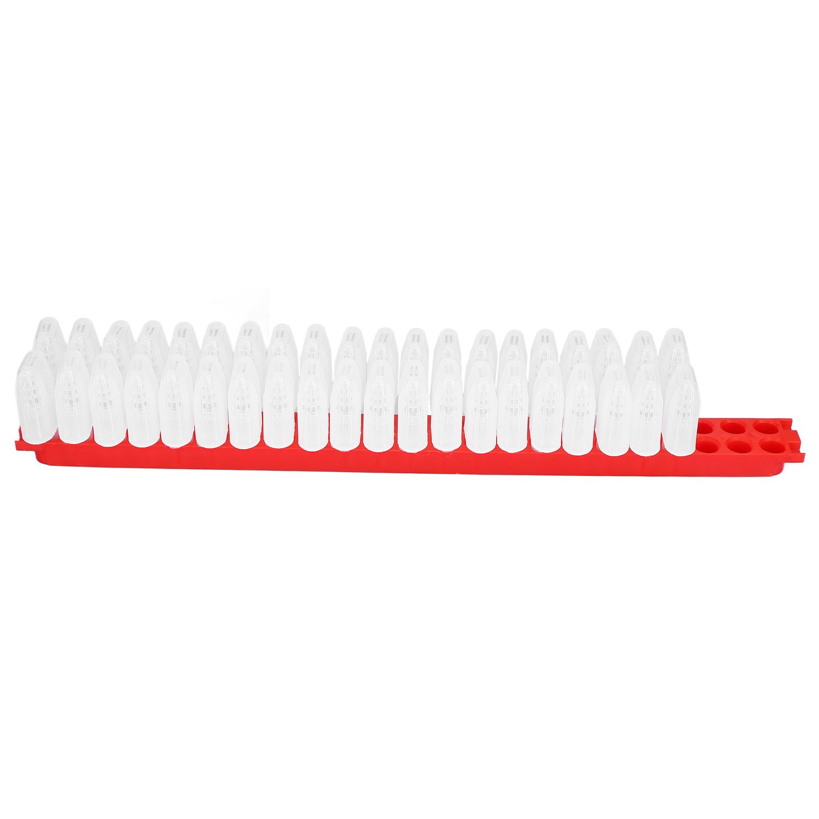 Bee Queen Cage Plastic Bee Rearing Cages Kit with Transport Strip Beekeeping Accessories - Image 7