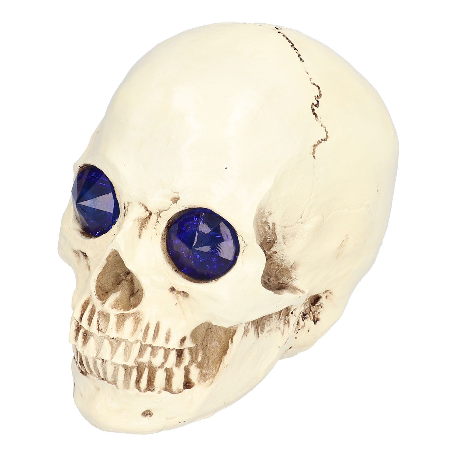 Skull Ornaments Vivid Lightweight Easily Clean Add Horror Ambience Halloween Props for Party Haunted House Decoration - Image 1