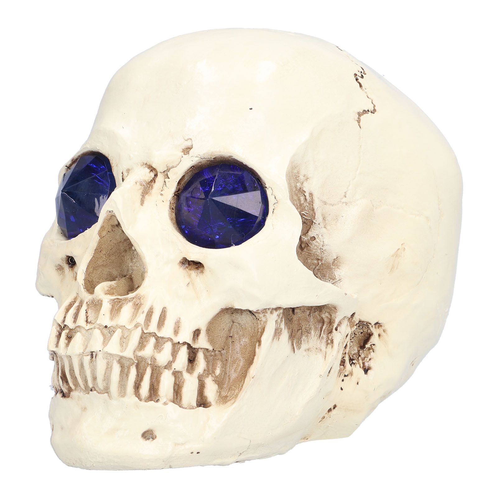 Skull Ornaments Vivid Lightweight Easily Clean Add Horror Ambience Halloween Props for Party Haunted House Decoration - Image 2