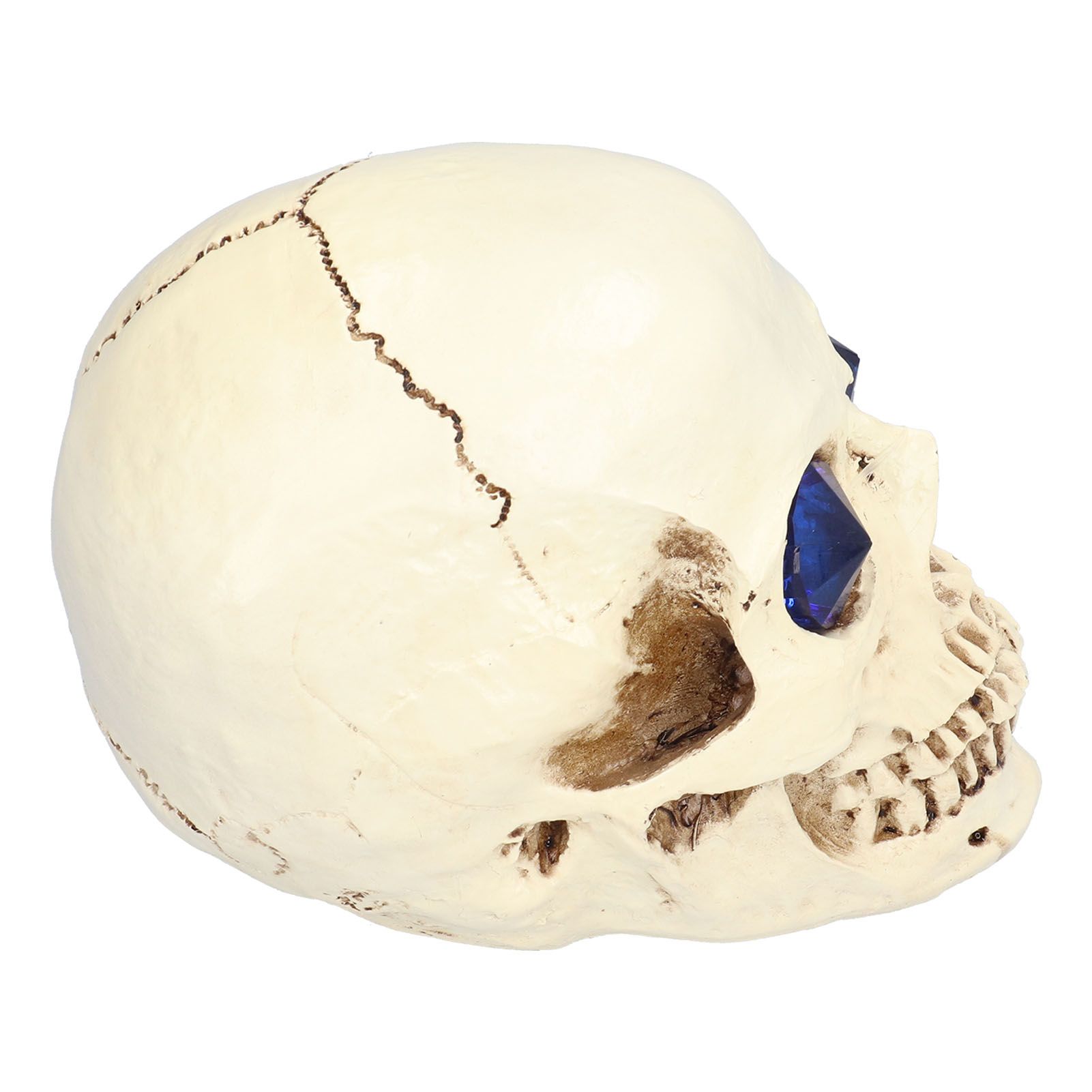 Skull Ornaments Vivid Lightweight Easily Clean Add Horror Ambience Halloween Props for Party Haunted House Decoration - Image 4