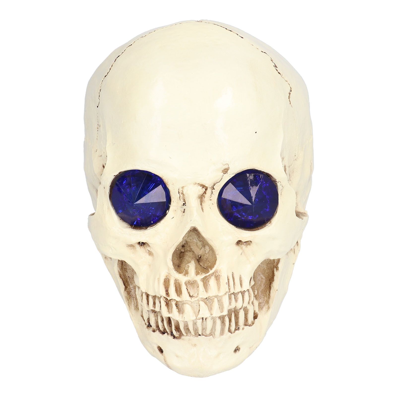 Skull Ornaments Vivid Lightweight Easily Clean Add Horror Ambience Halloween Props for Party Haunted House Decoration - Image 5