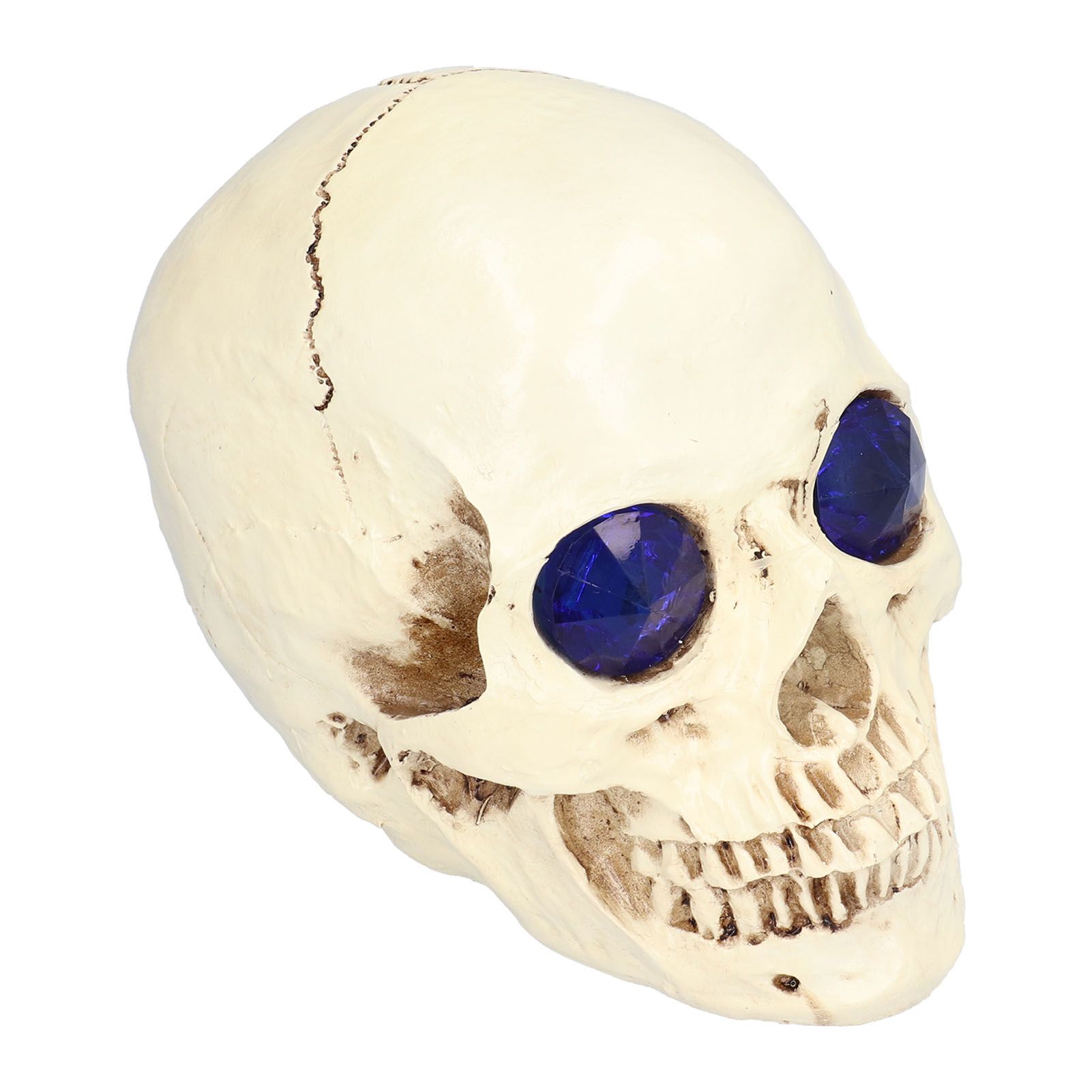 Skull Ornaments Vivid Lightweight Easily Clean Add Horror Ambience Halloween Props for Party Haunted House Decoration - Image 6