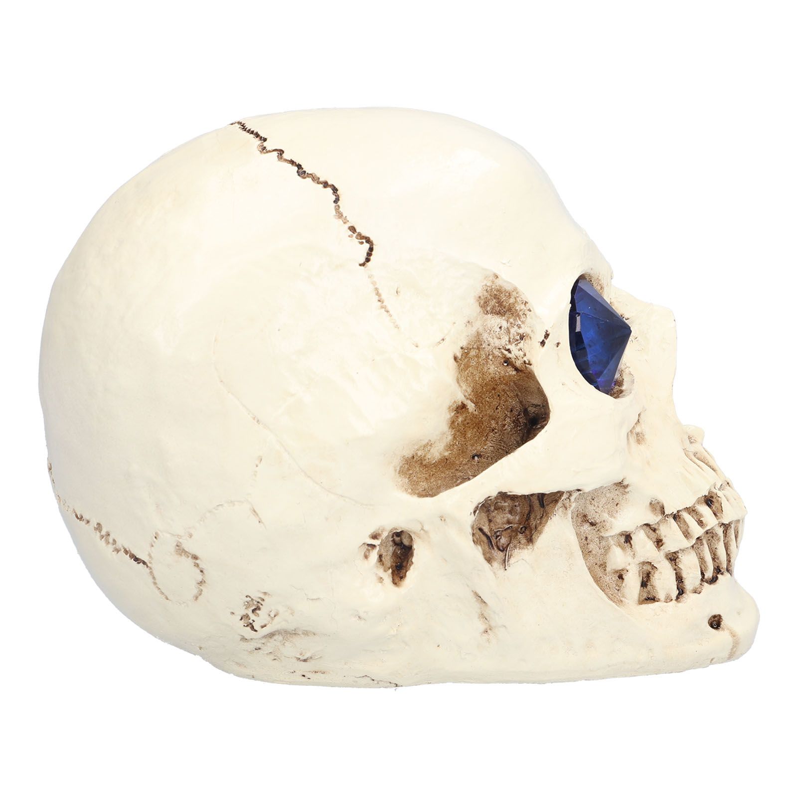 Skull Ornaments Vivid Lightweight Easily Clean Add Horror Ambience Halloween Props for Party Haunted House Decoration - Image 7