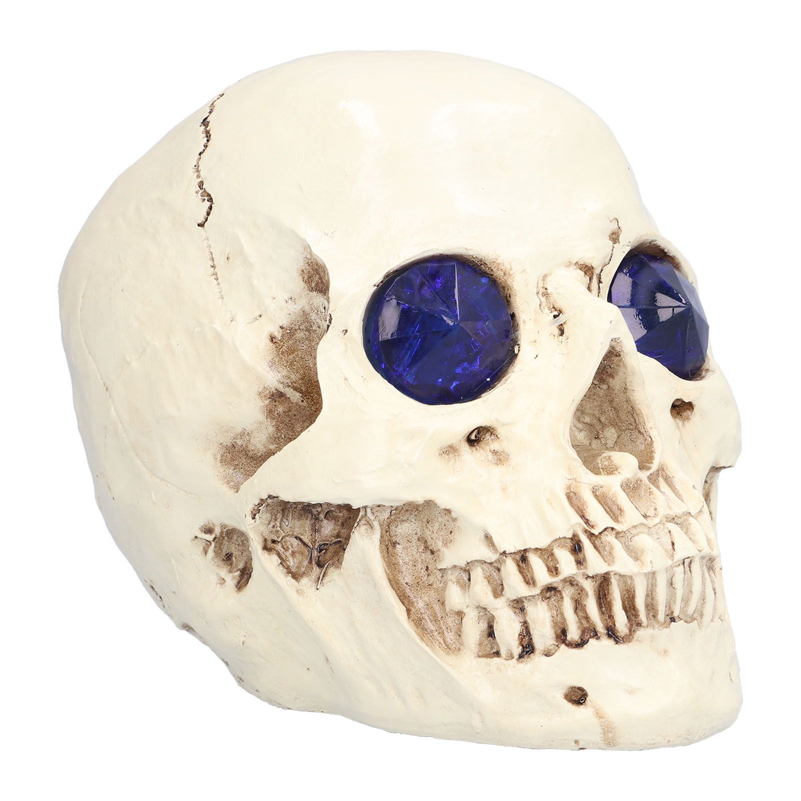 Skull Ornaments Vivid Lightweight Easily Clean Add Horror Ambience Halloween Props for Party Haunted House Decoration - Image 8